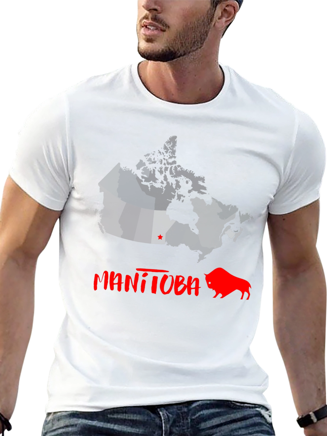 Manitoba Canada Bison Graphic Tee - Black Cotton T-Shirt