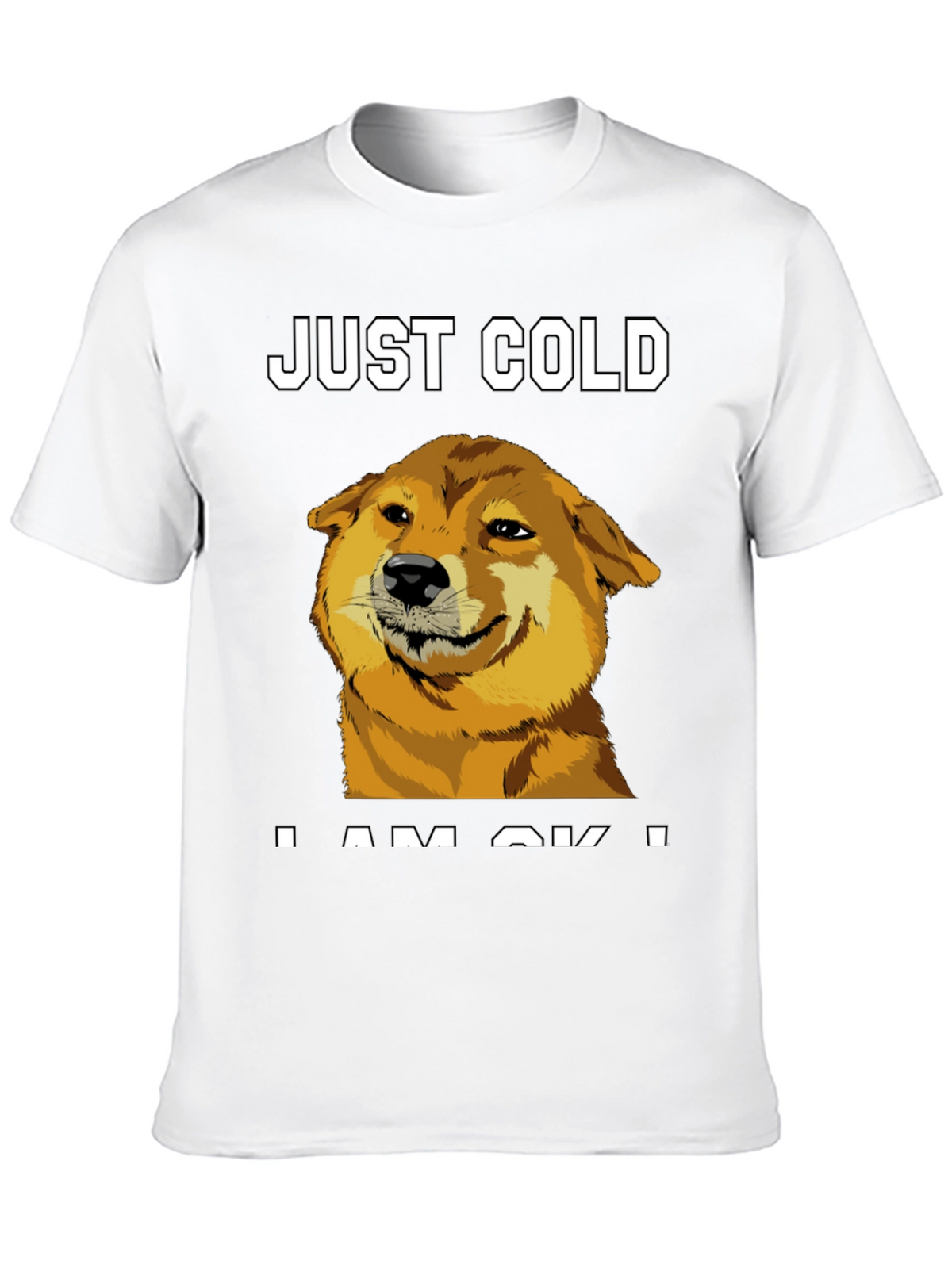 Just Cold? Doge Meme Graphic Tee - Black