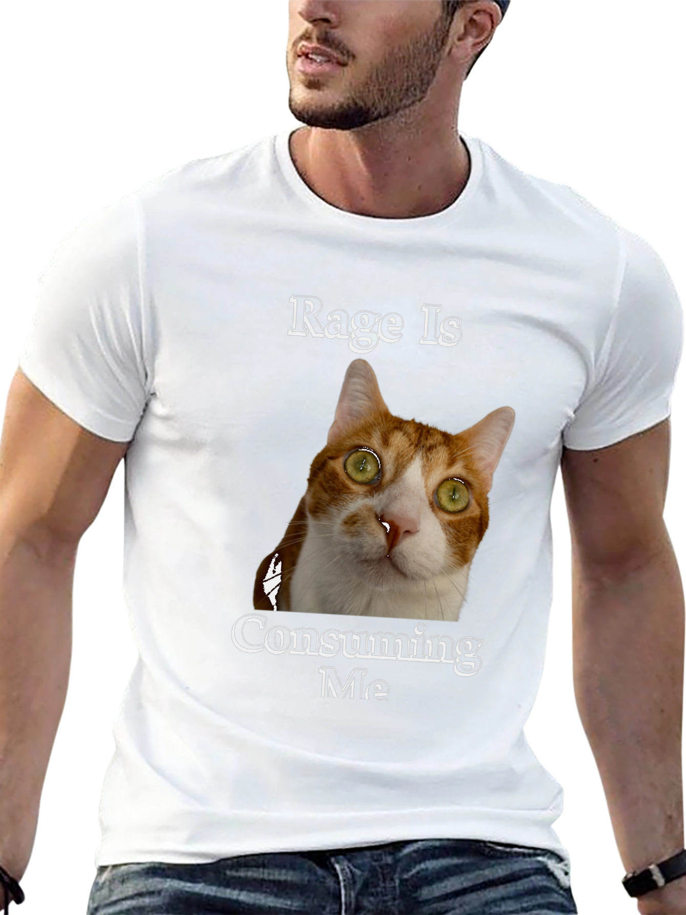 Rage Is Consuming Me Cat T-Shirt