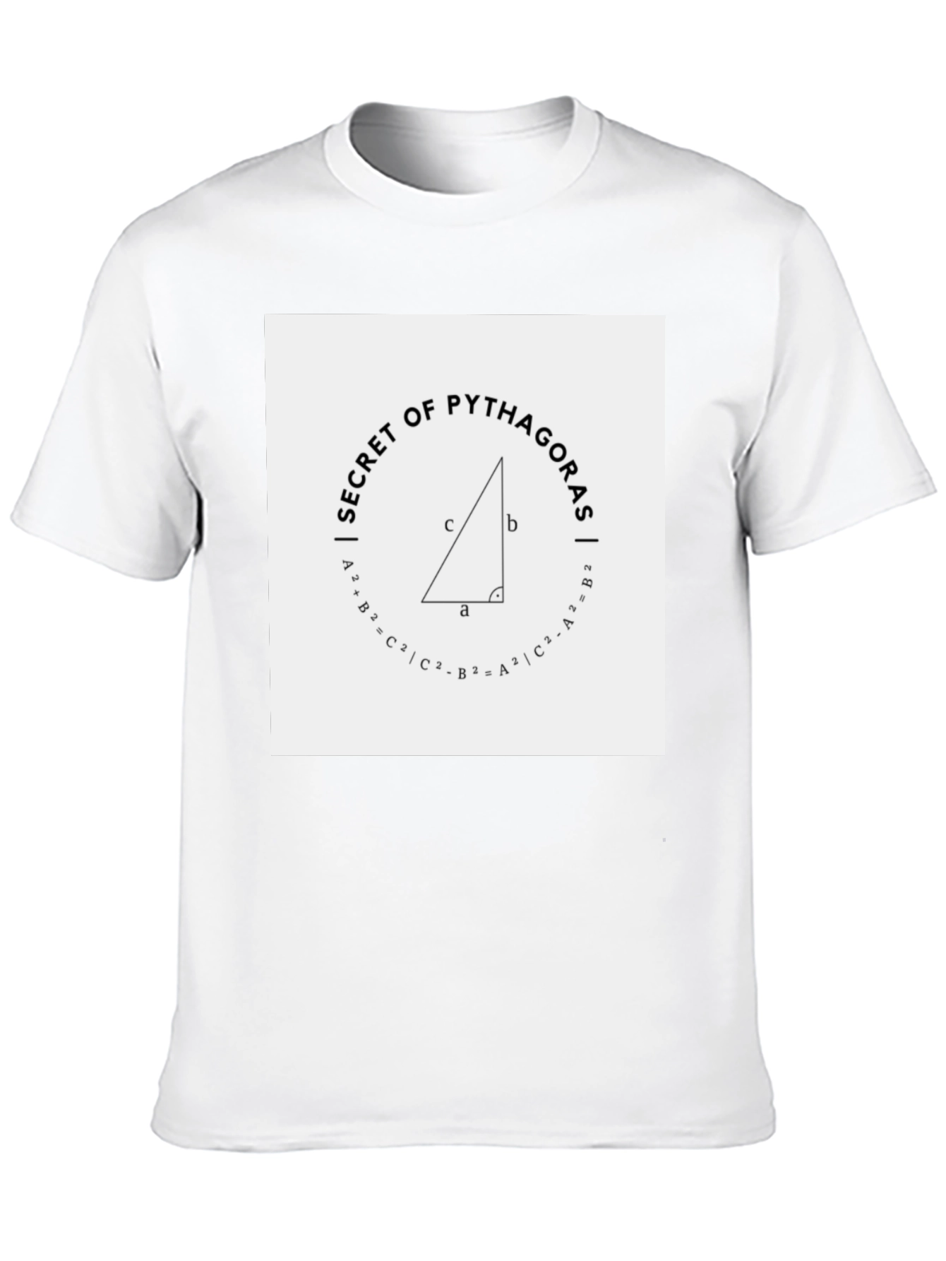 Secret of Pythagoras Black Tee Shirt