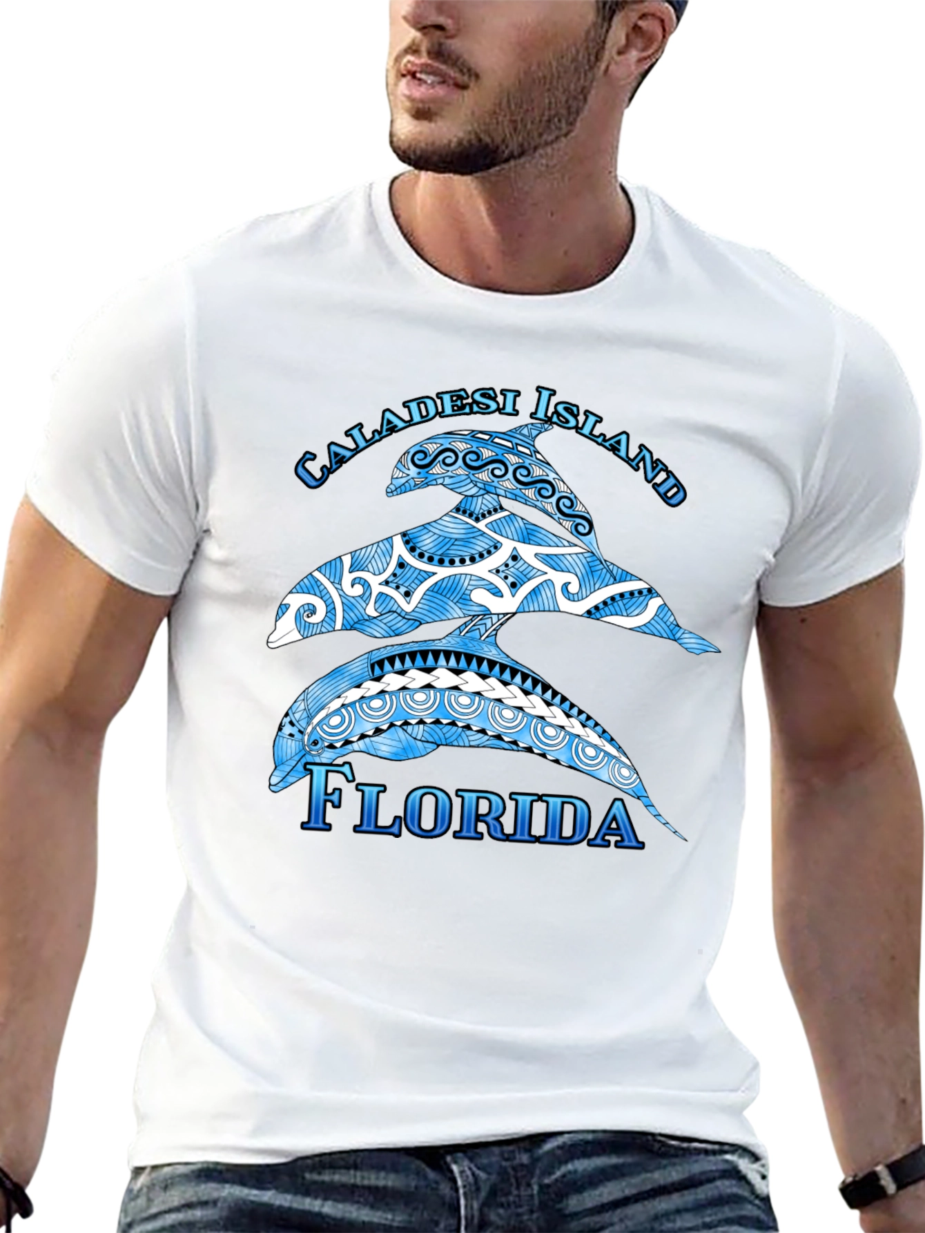 Caladesi Island Florida Dolphin Graphic T-Shirt