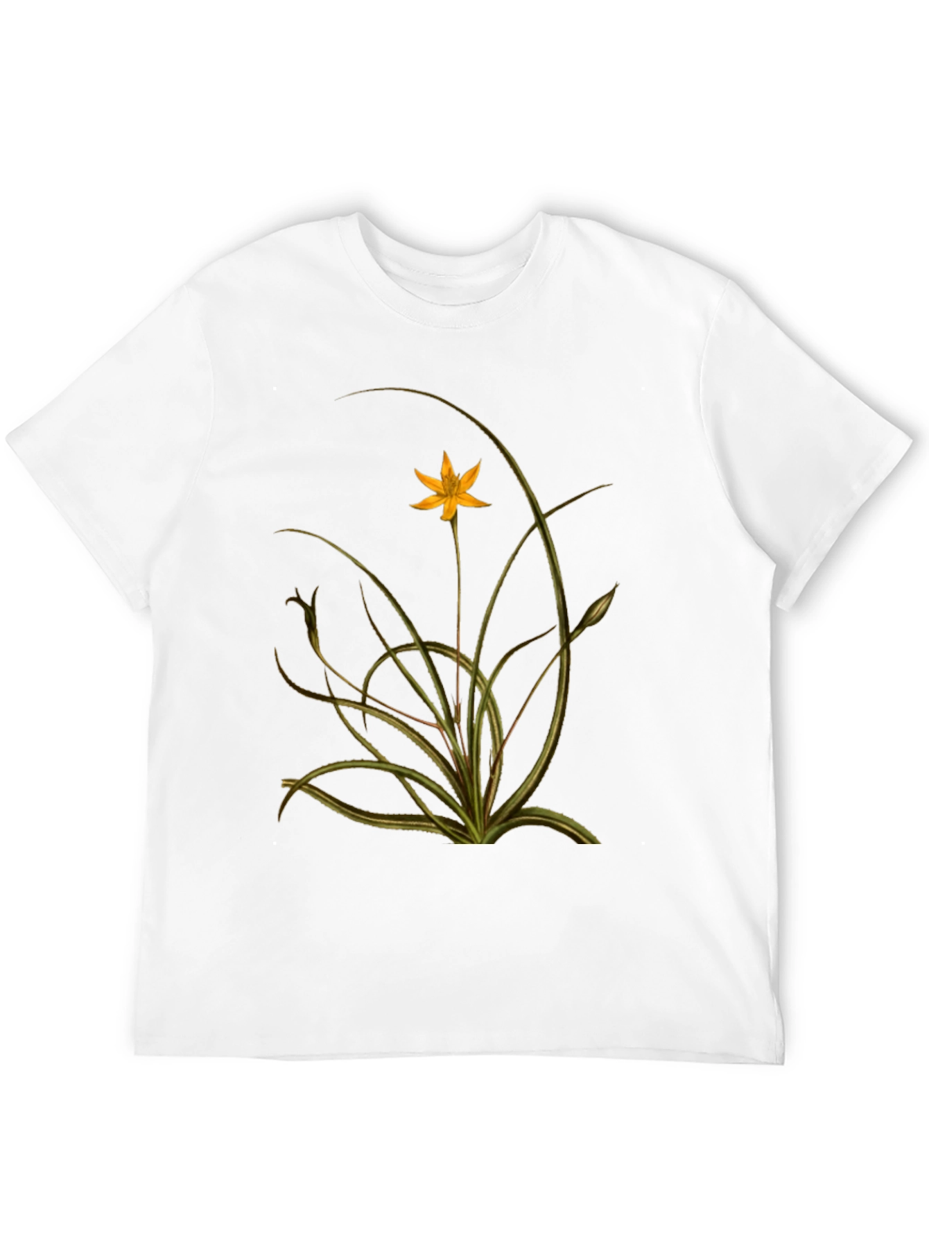 Botanical Print Black Tee