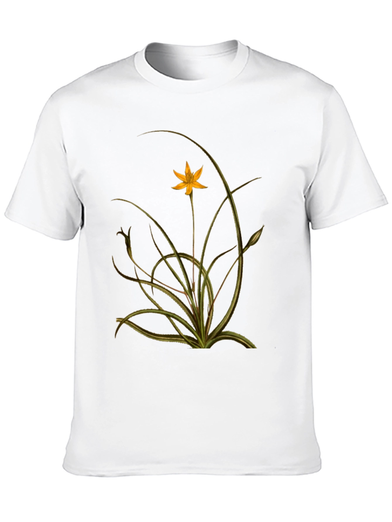 Botanical Print Black Tee