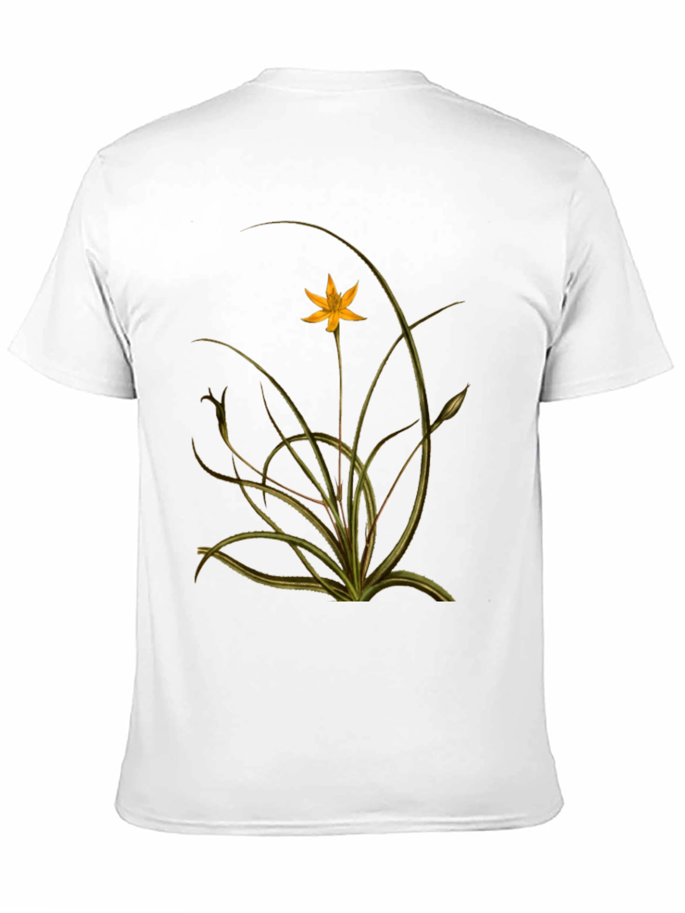 Botanical Print Black Tee