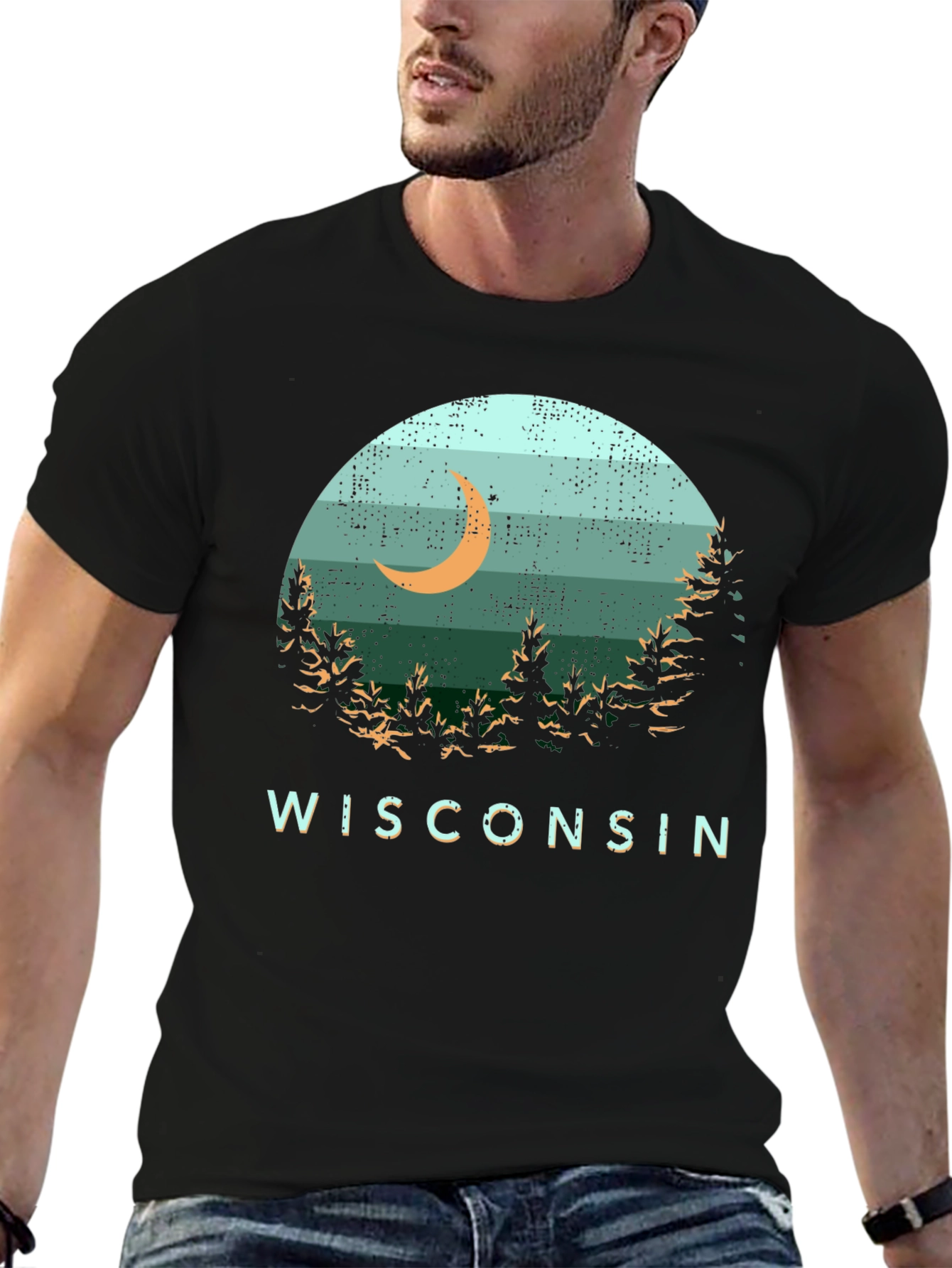 Wisconsin Nature Scene Graphic Tee - Black