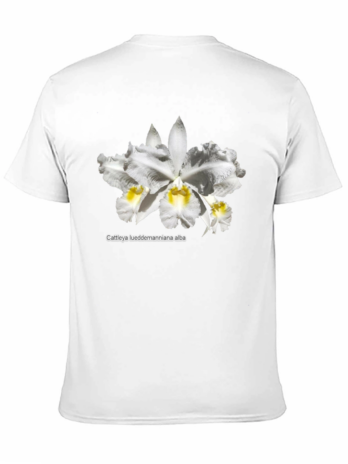Orchid Flower Graphic T-Shirt - Black Casual Tee