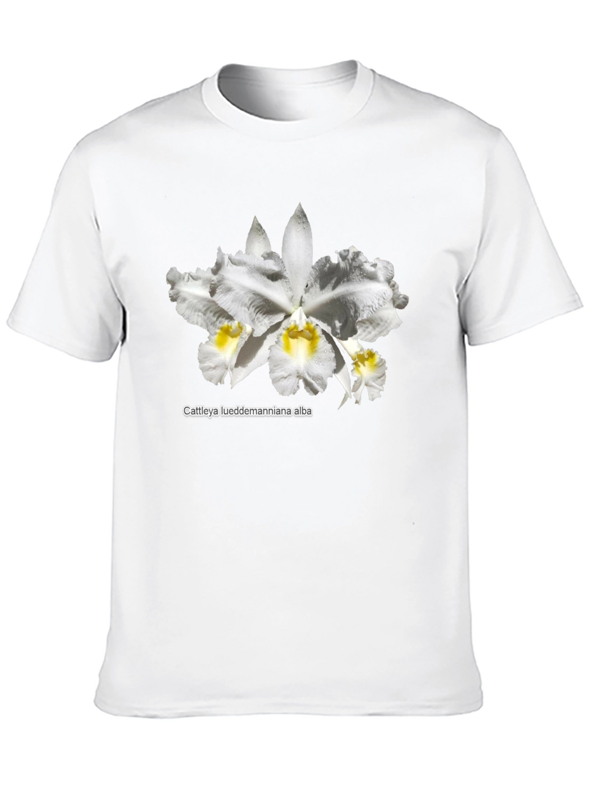 Orchid Flower Graphic T-Shirt - Black Casual Tee