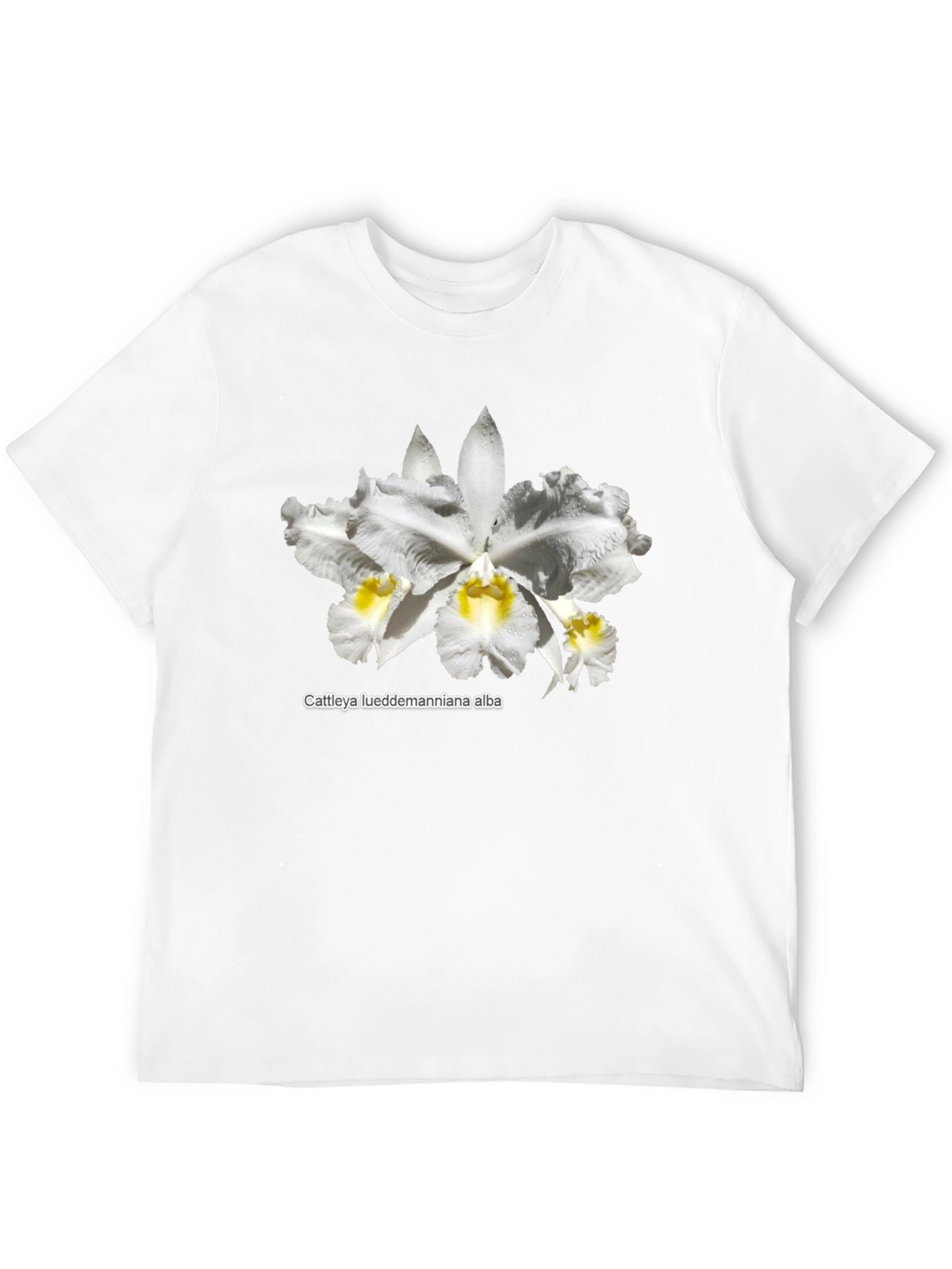 Orchid Flower Graphic T-Shirt - Black Casual Tee