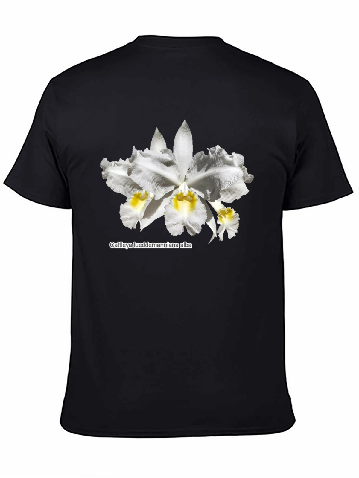 Orchid Flower Graphic T-Shirt - Black Casual Tee