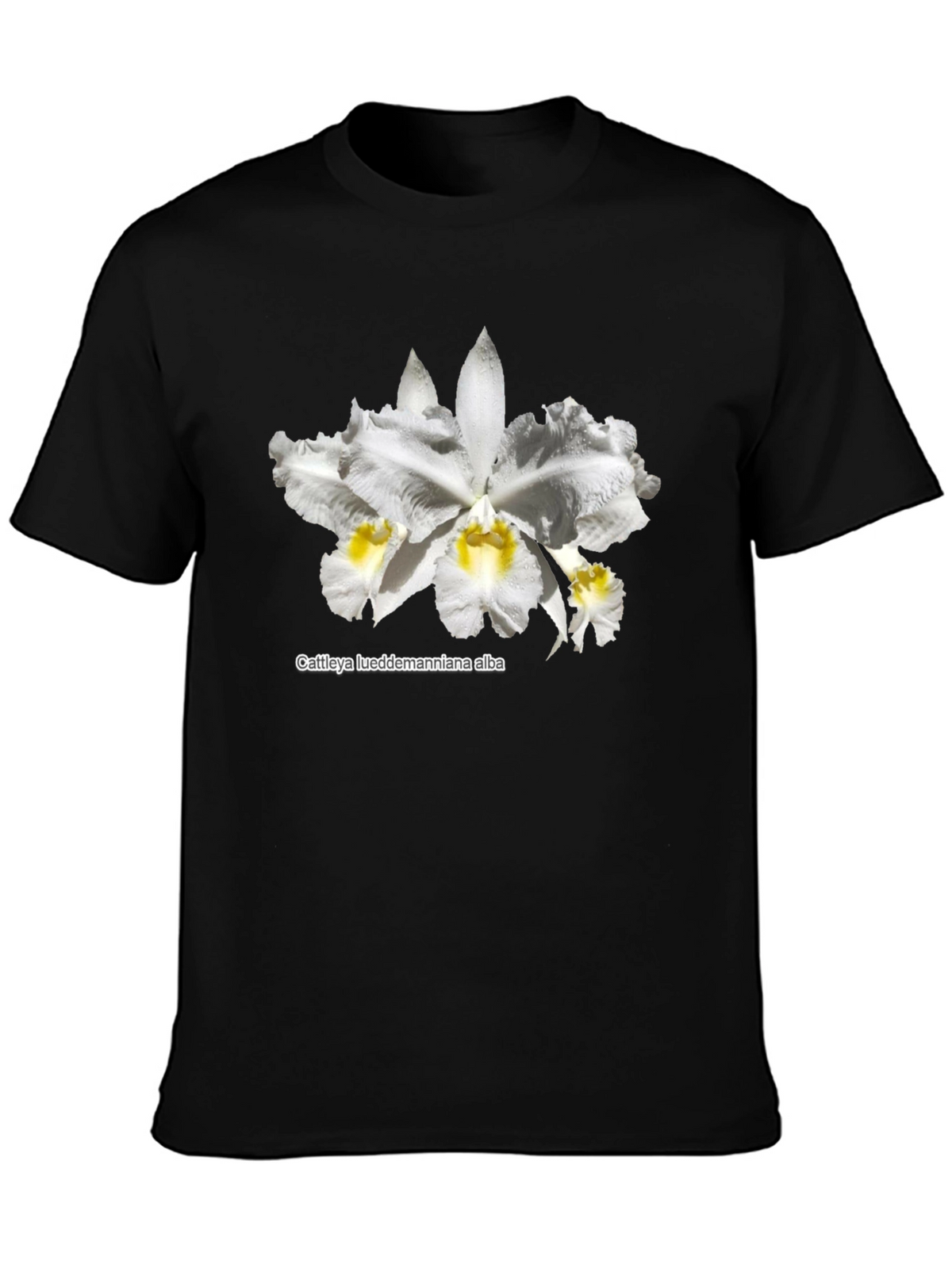 Orchid Flower Graphic T-Shirt - Black Casual Tee