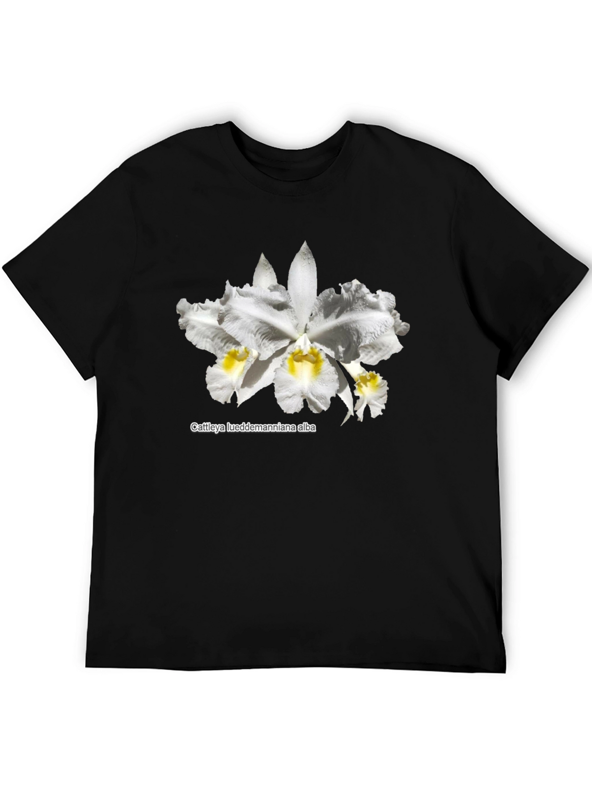 Orchid Flower Graphic T-Shirt - Black Casual Tee