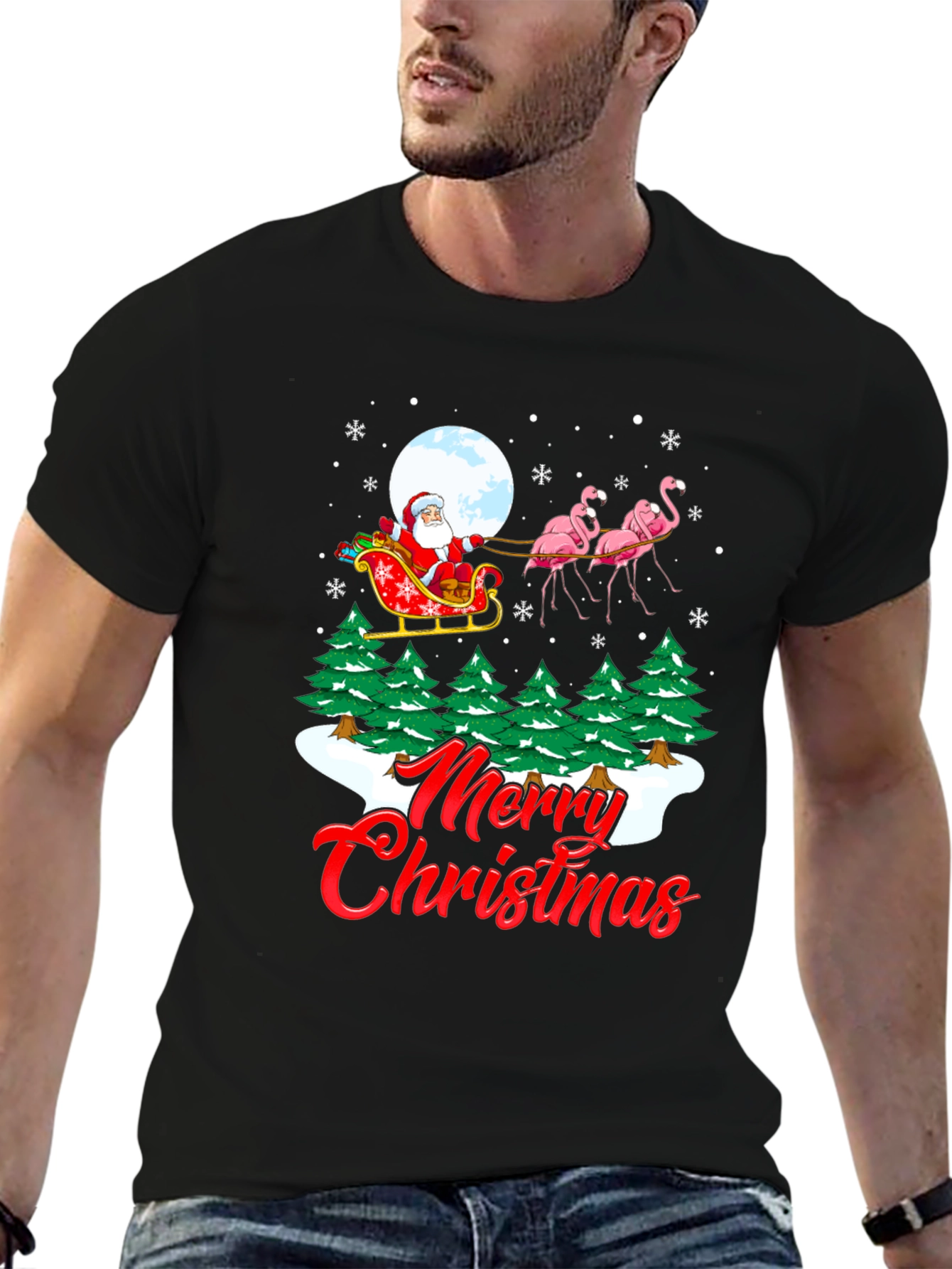 Christmas Santa Flamingo Graphic Tee