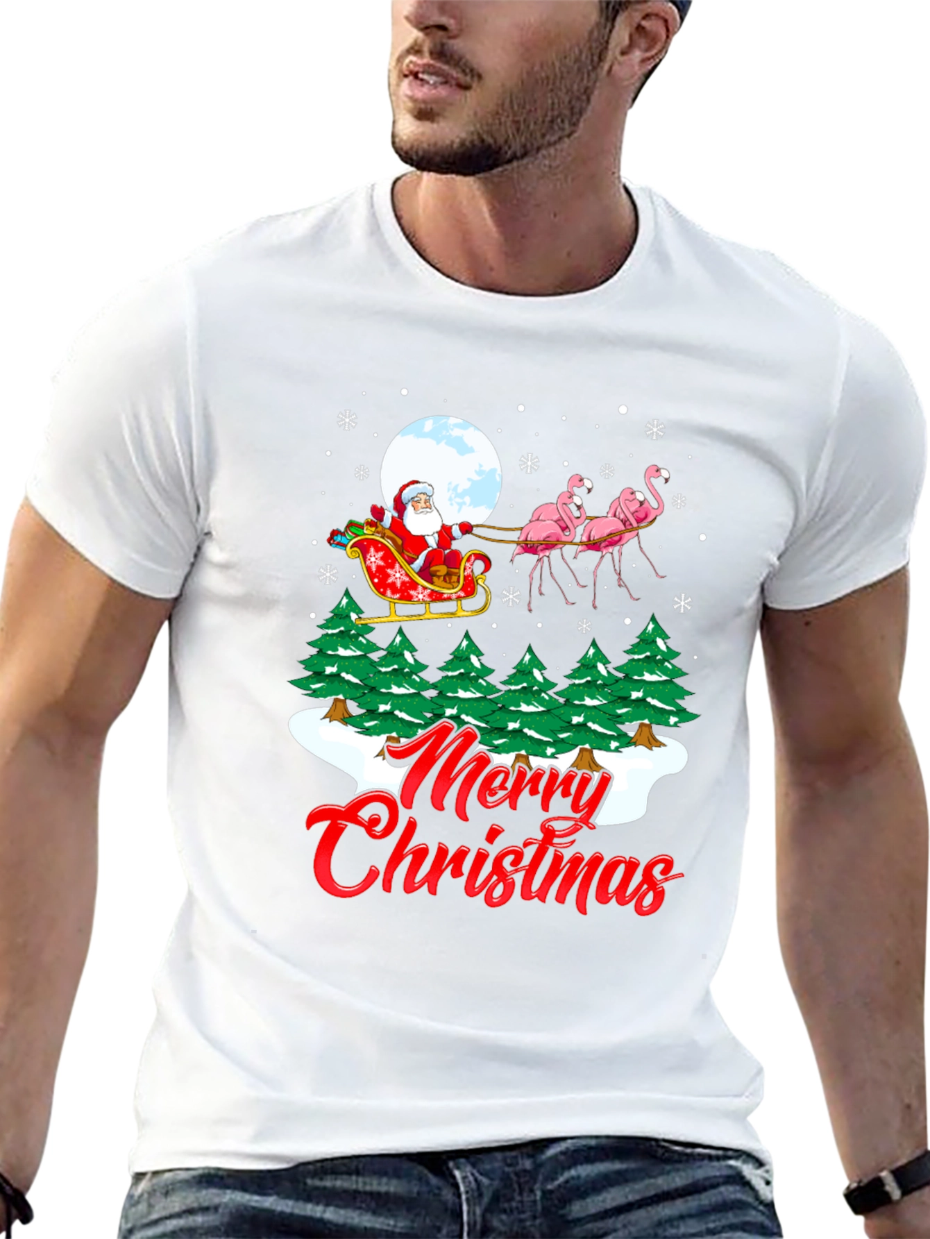 Christmas Santa Flamingo Graphic Tee