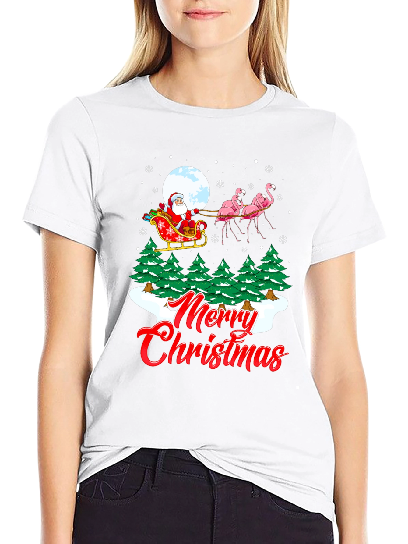 Christmas Santa Flamingo Graphic Tee