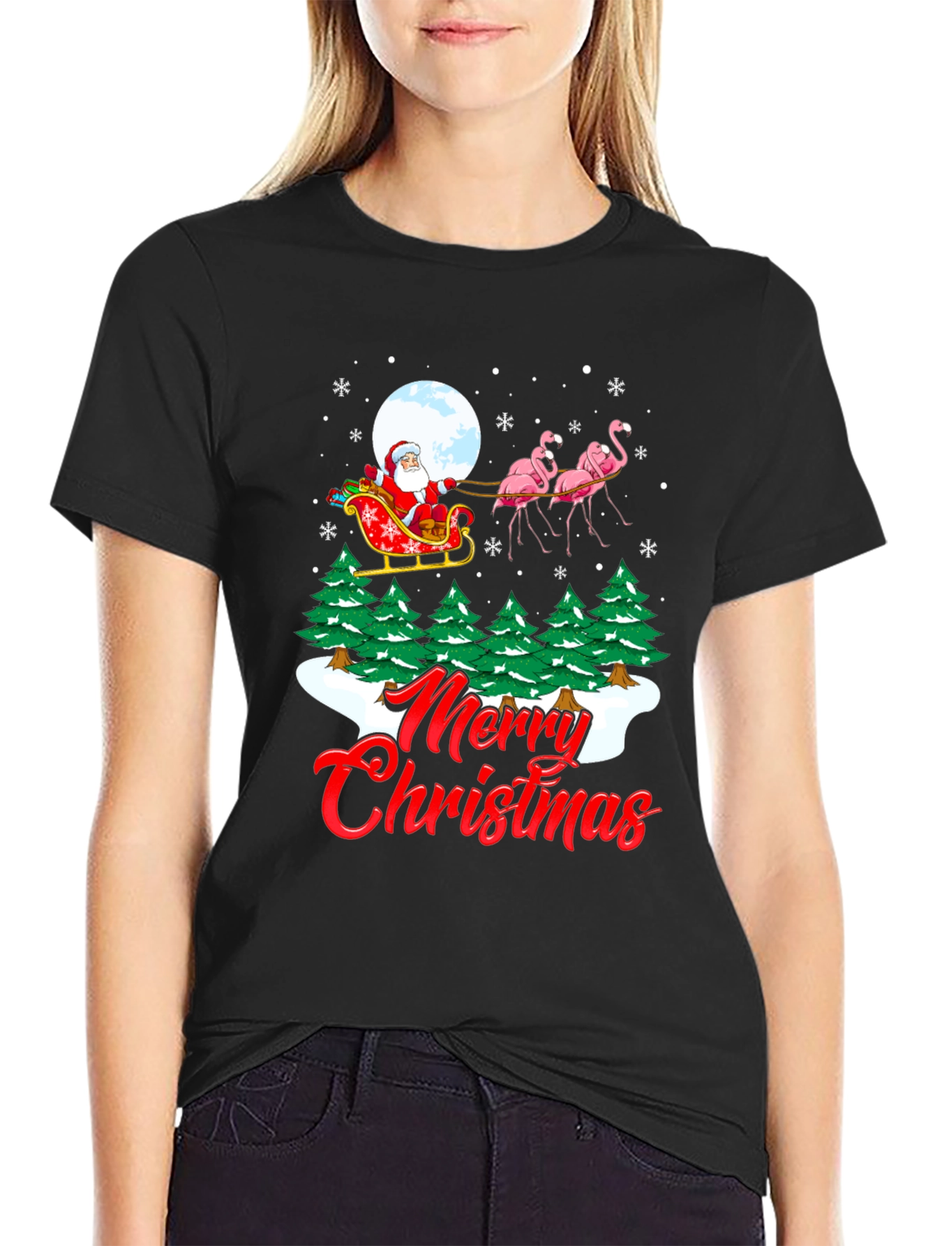 Christmas Santa Flamingo Graphic Tee