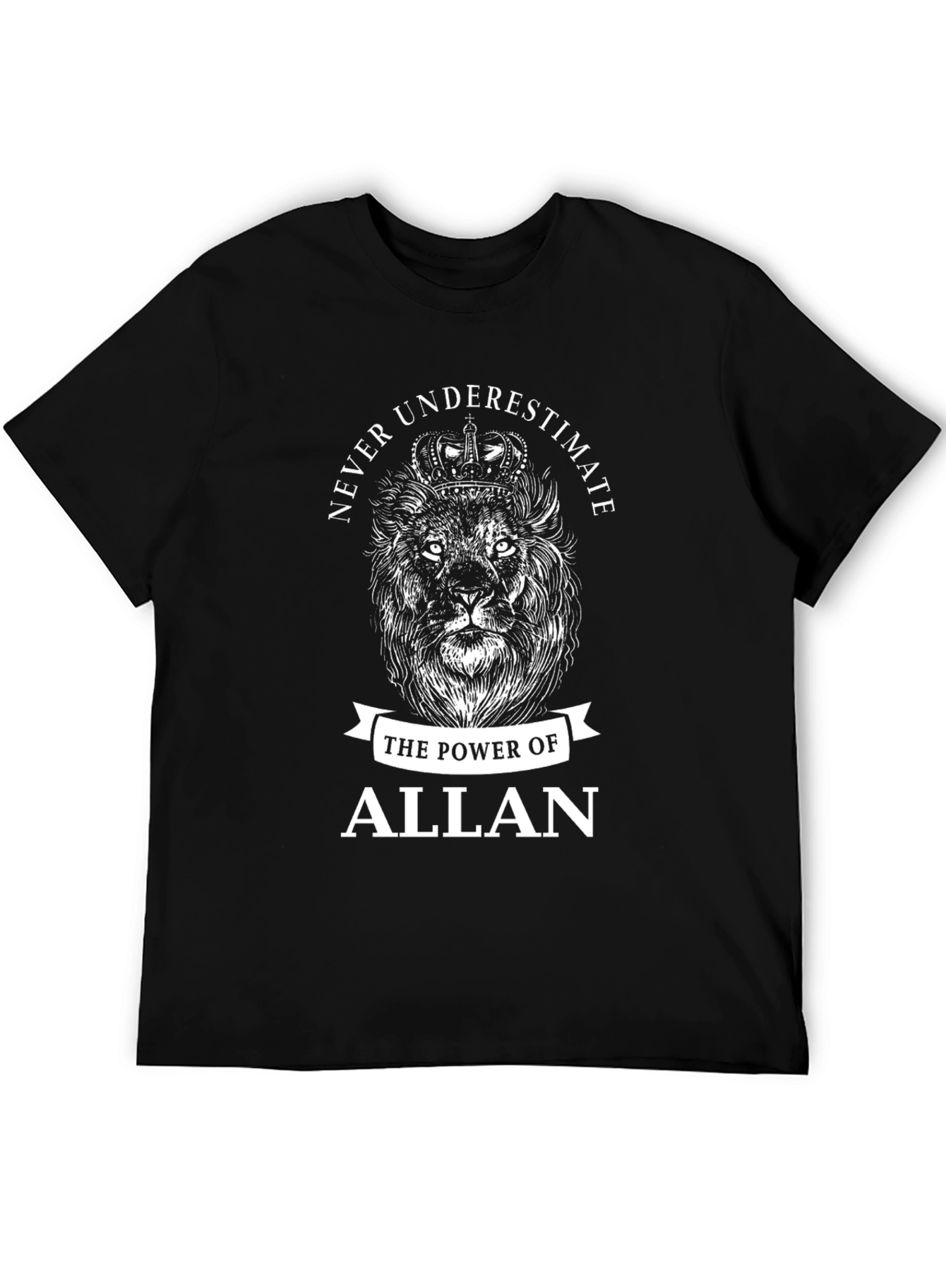 Never Underestimate Allan Graphic Tee