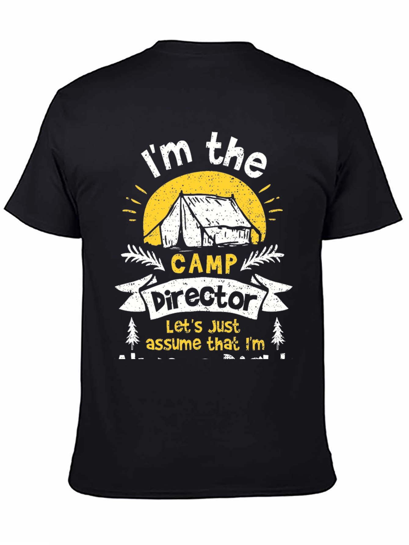 Camp Director T-Shirt - Camping Apparel