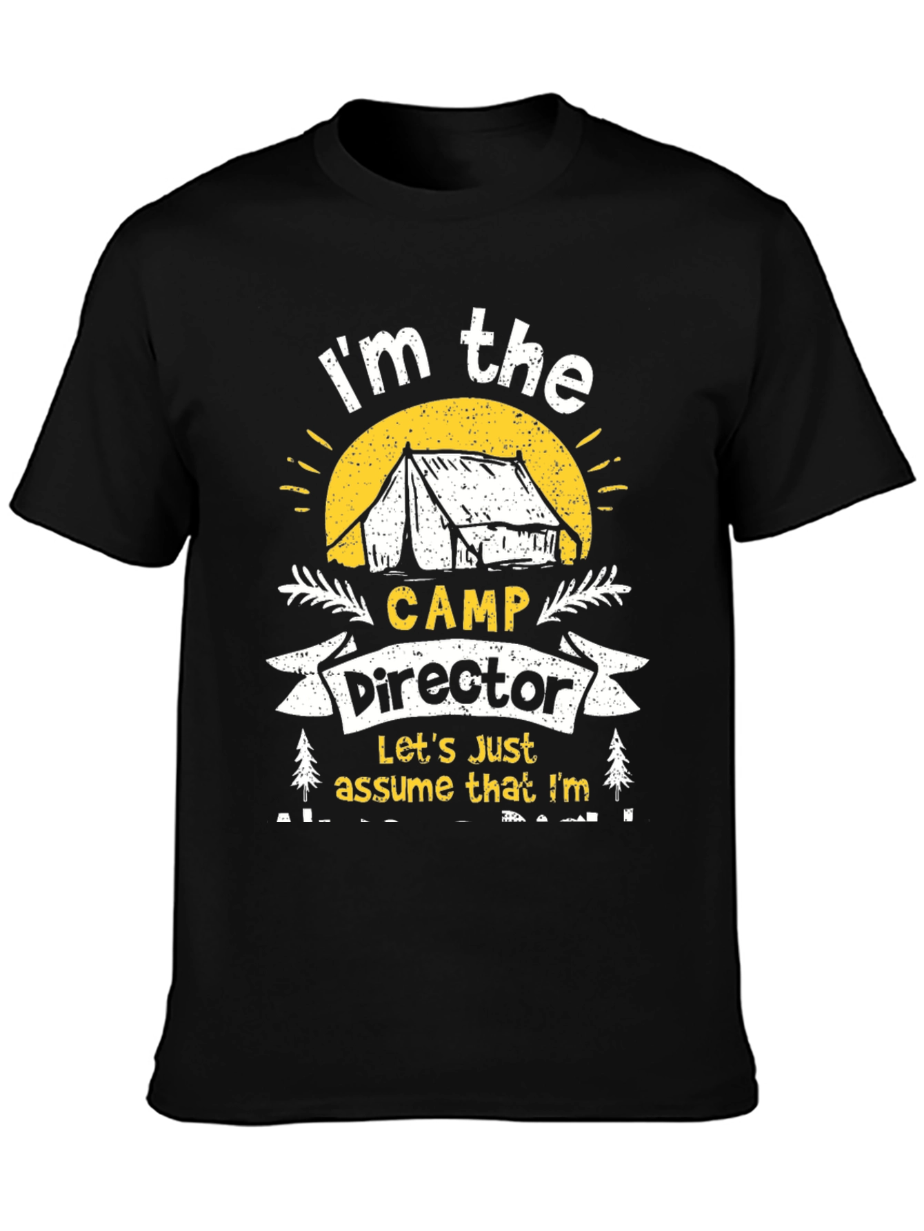 Camp Director T-Shirt - Camping Apparel