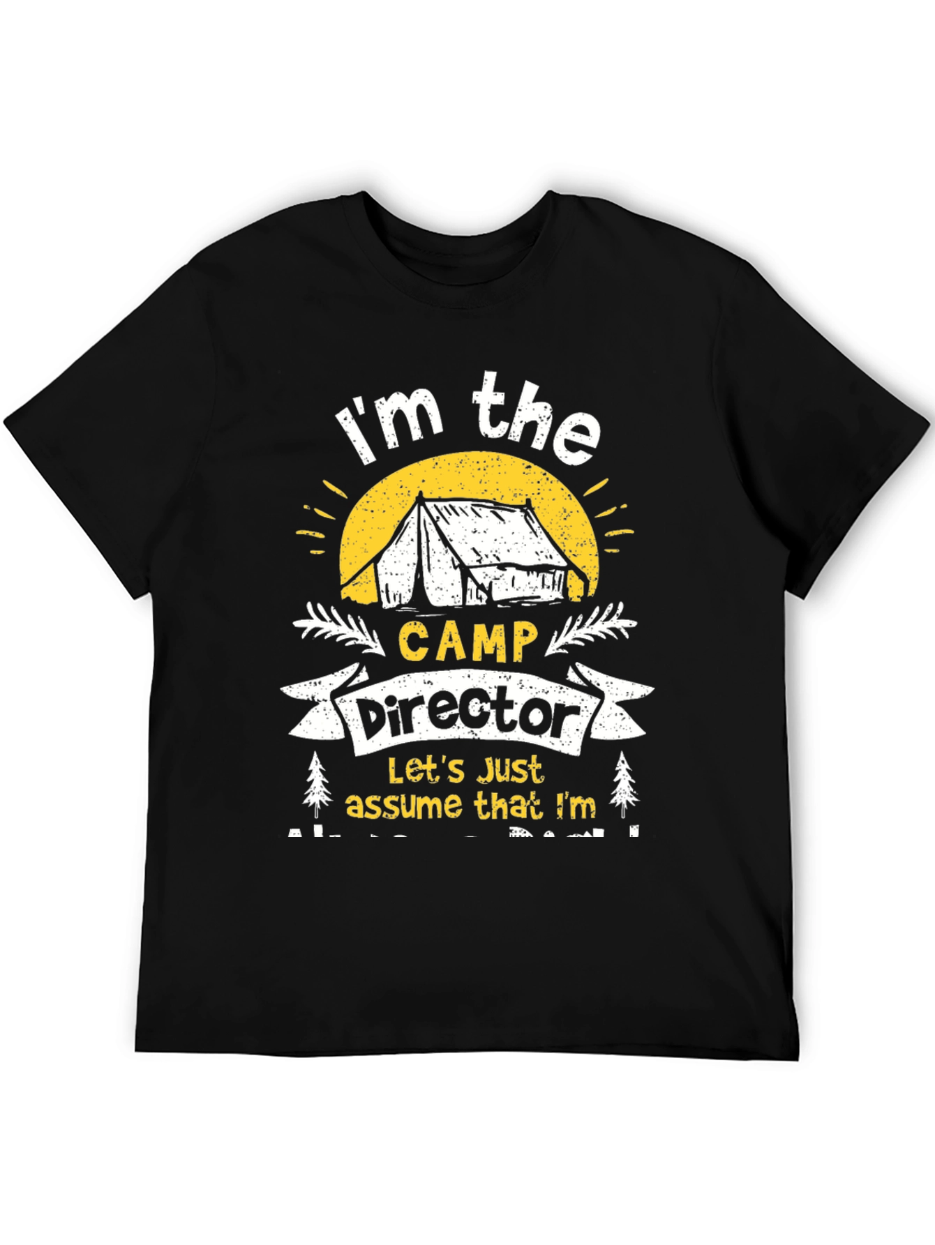 Camp Director T-Shirt - Camping Apparel