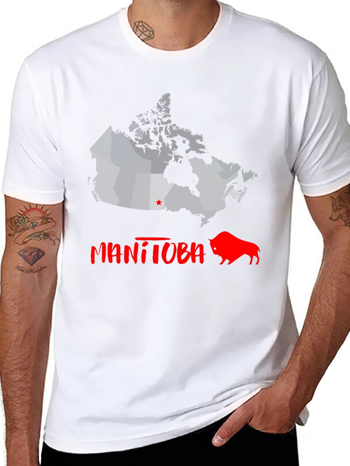 Manitoba Canada Bison Graphic Tee - Black Cotton T-Shirt