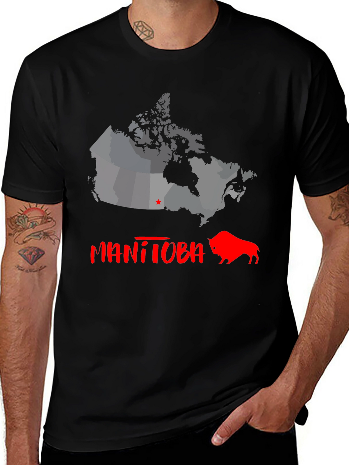 Manitoba Canada Bison Graphic Tee - Black Cotton T-Shirt