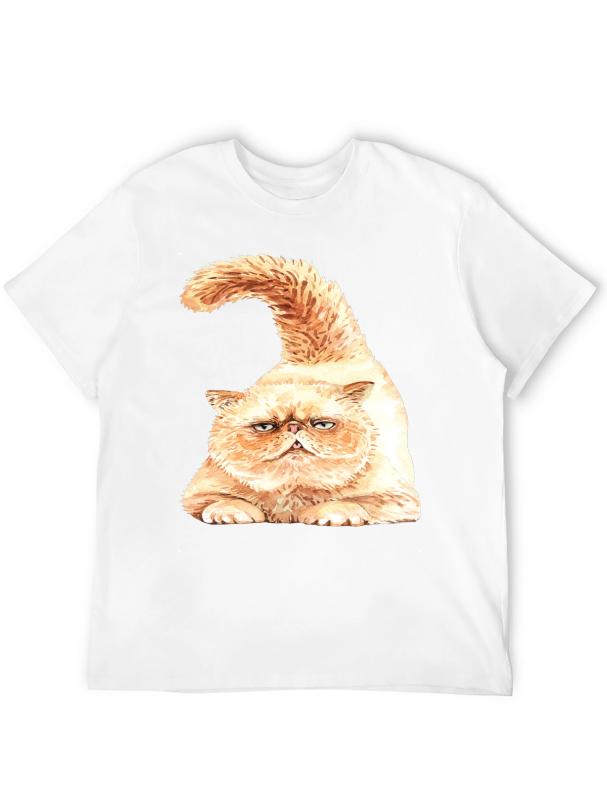 Grumpy Cat Graphic T-Shirt - Black