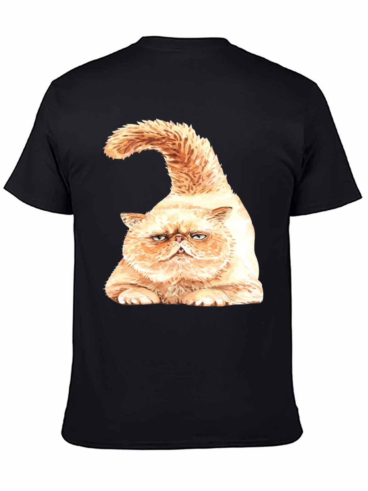 Grumpy Cat Graphic T-Shirt - Black