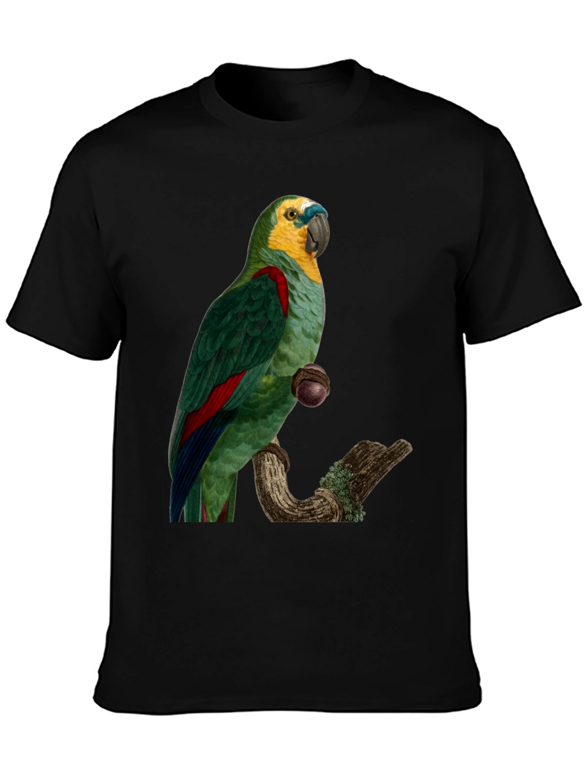 Parrot Graphic Print T-Shirt