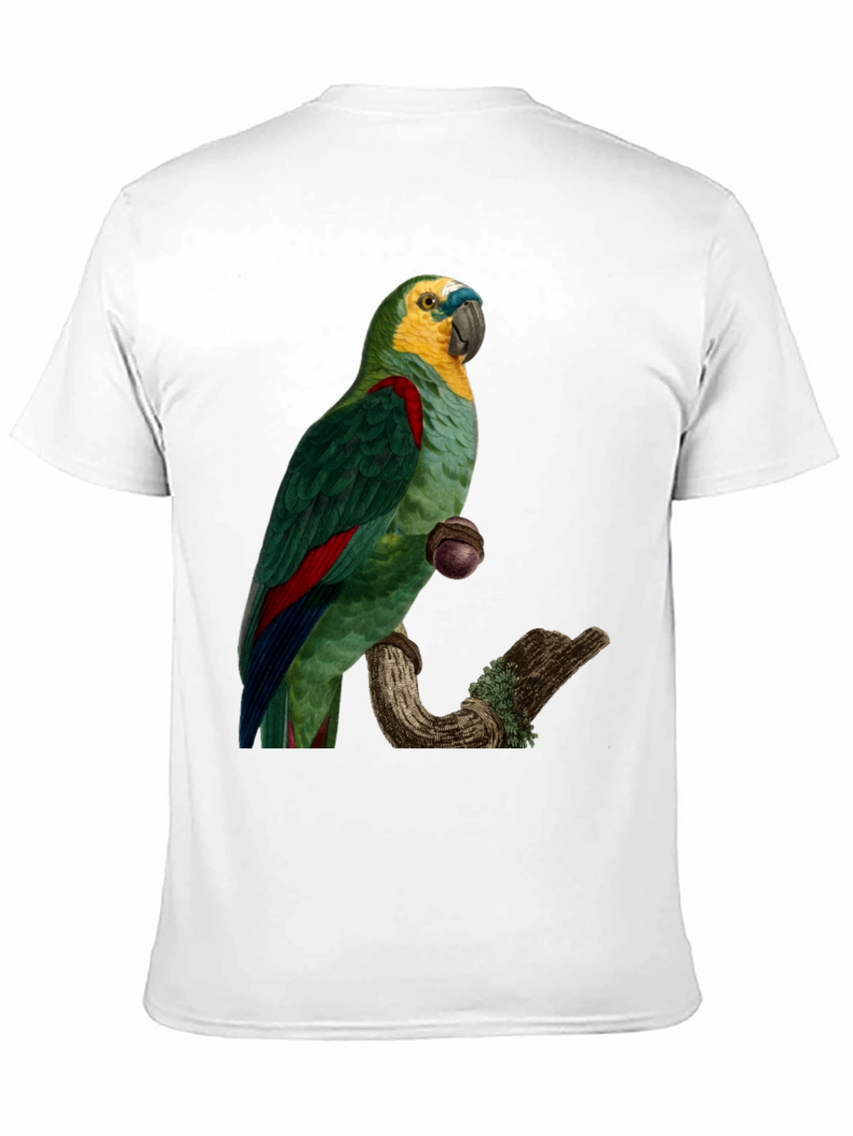 Parrot Graphic Print T-Shirt