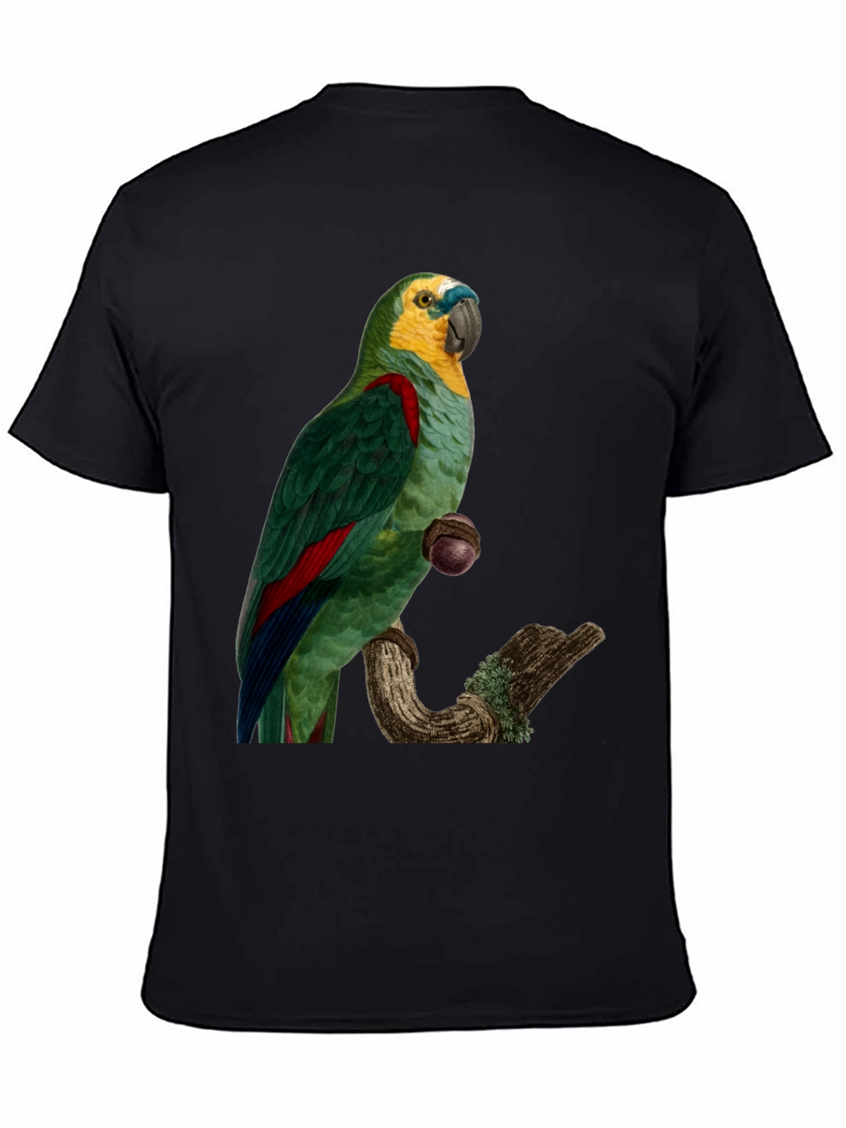 Parrot Graphic Print T-Shirt