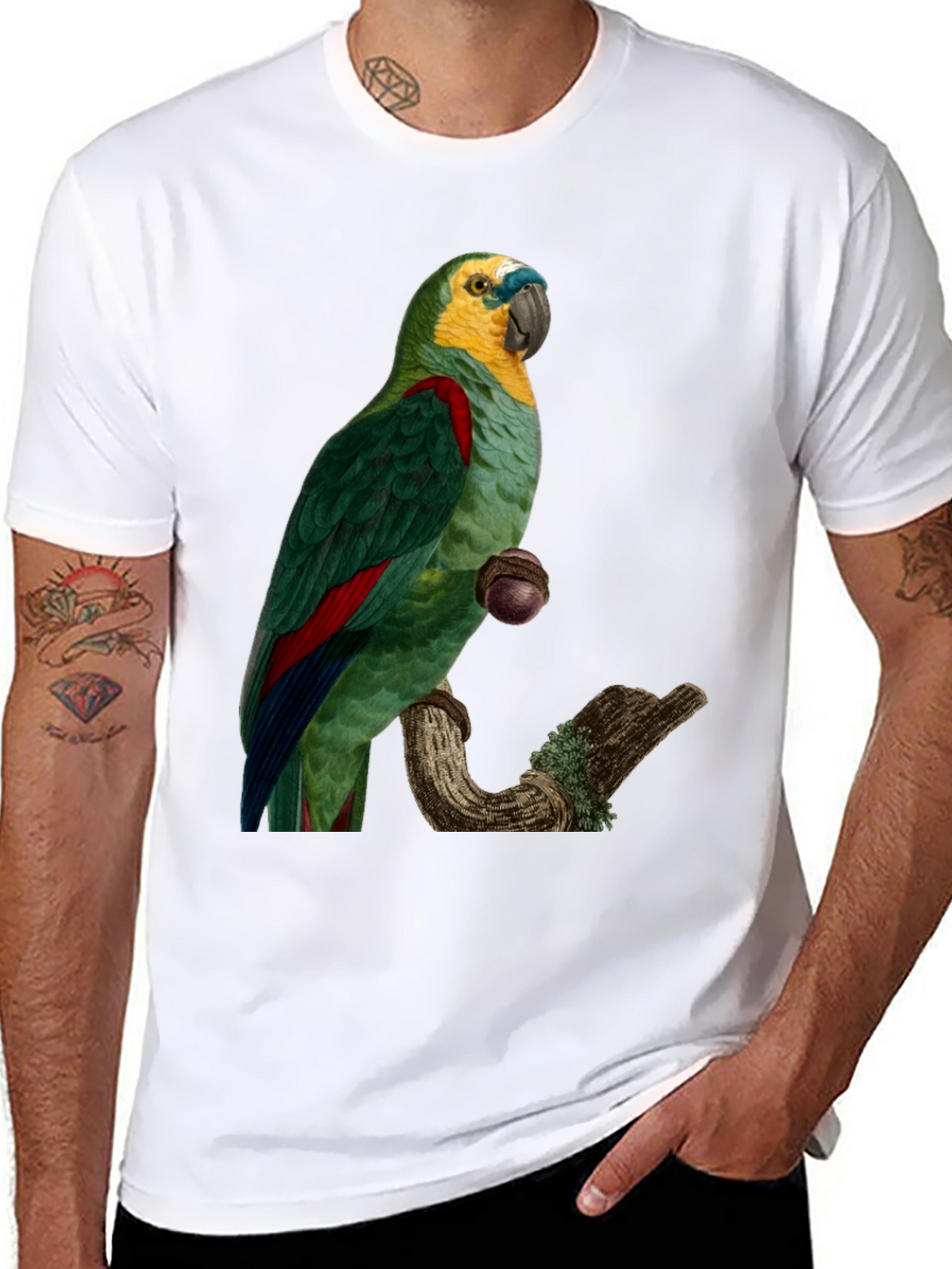 Parrot Graphic Print T-Shirt