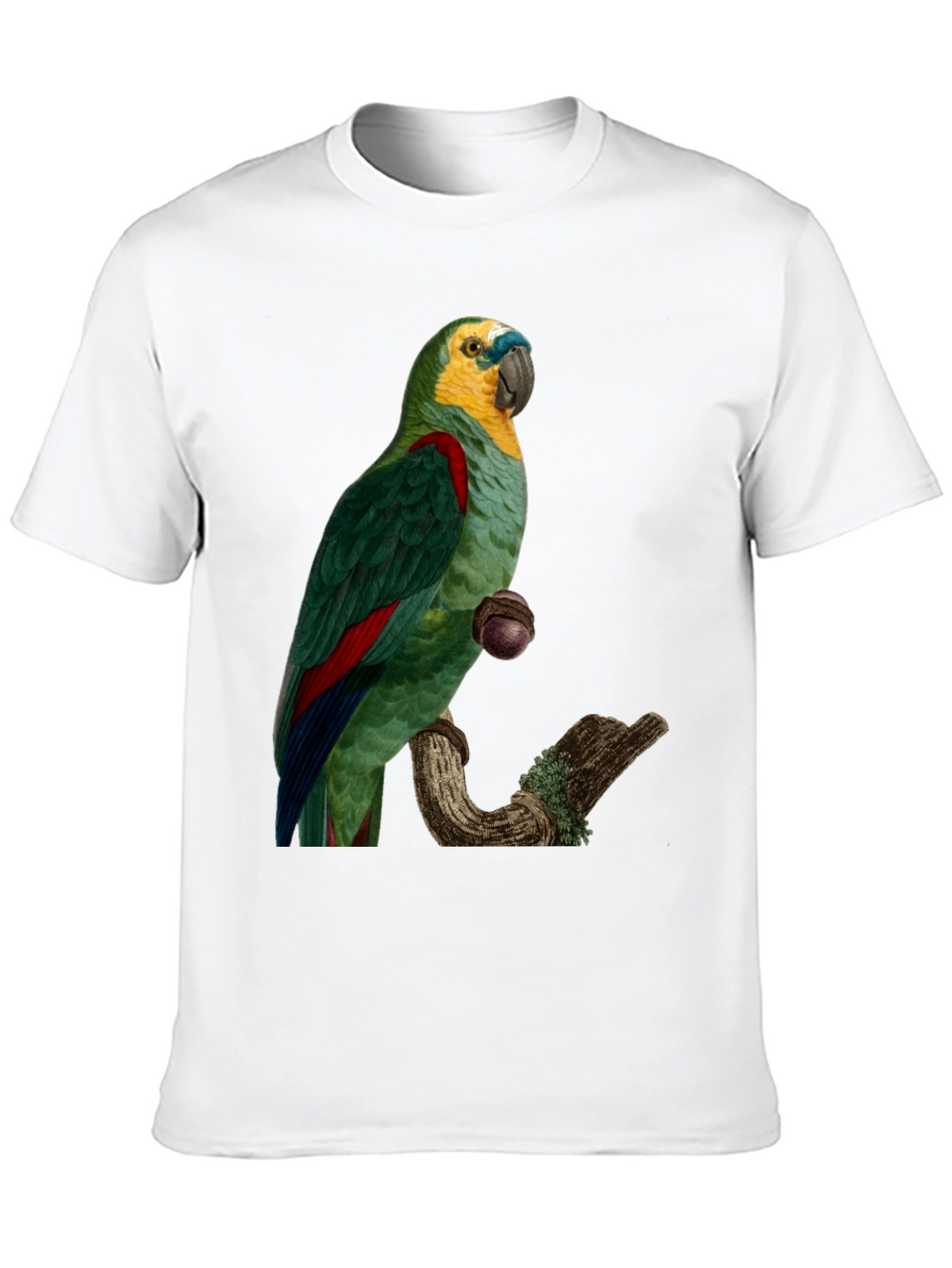 Parrot Graphic Print T-Shirt