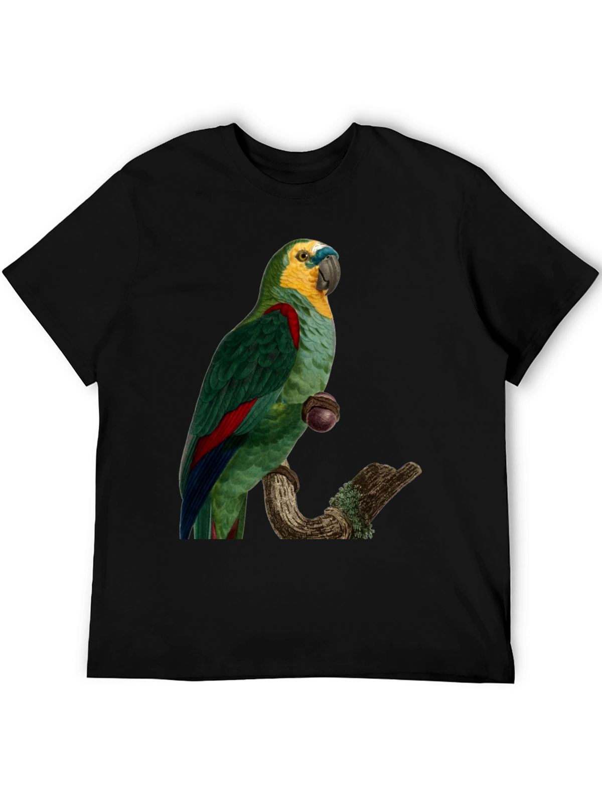 Parrot Graphic Print T-Shirt