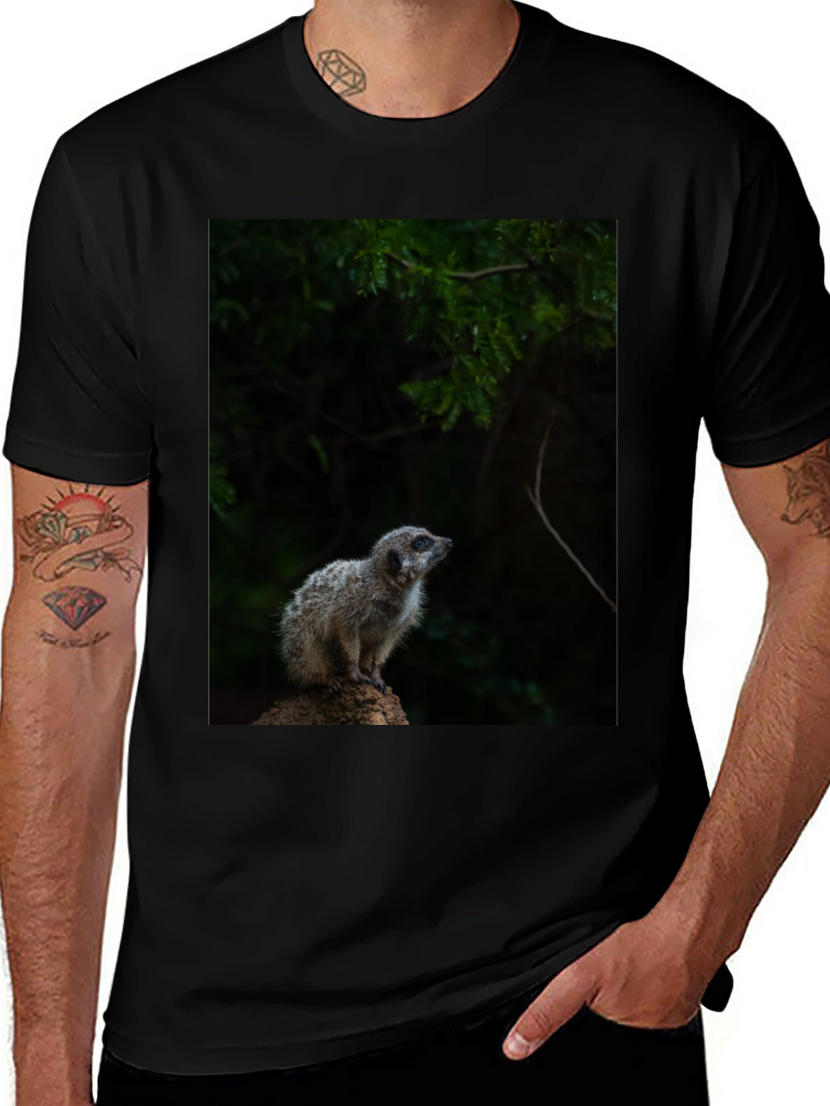 Meerkat Graphic Tee - Wildlife Animal Shirt