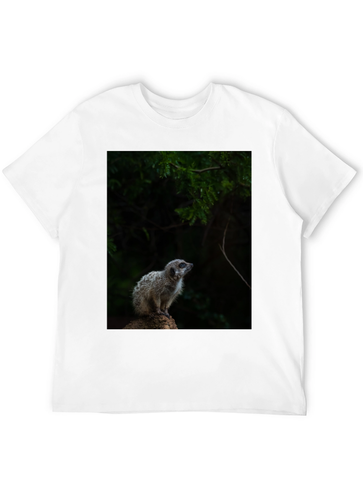 Meerkat Graphic Tee - Wildlife Animal Shirt