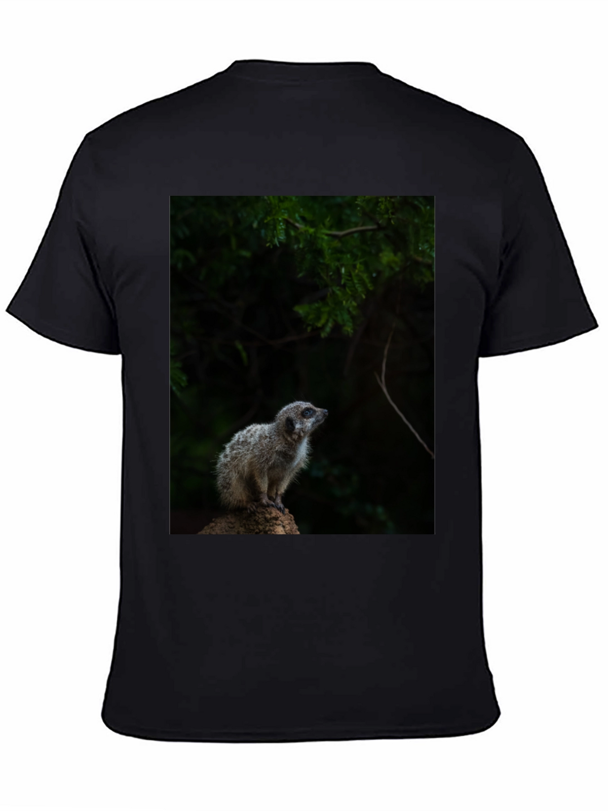 Meerkat Graphic Tee - Wildlife Animal Shirt