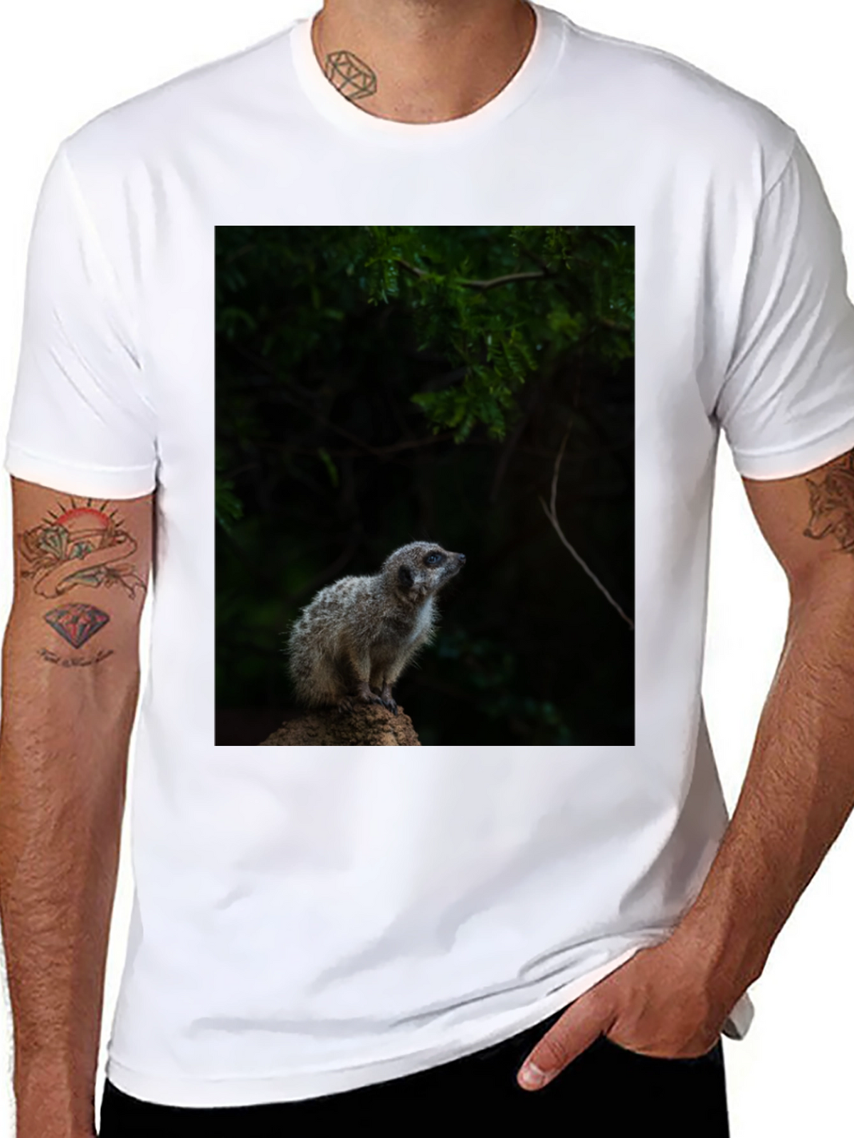 Meerkat Graphic Tee - Wildlife Animal Shirt