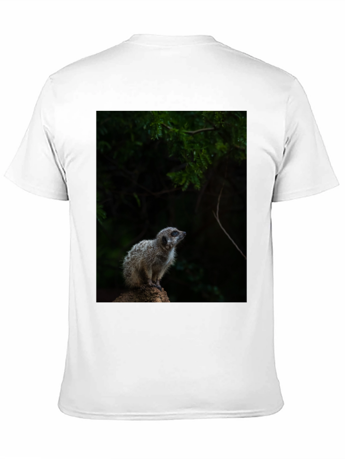 Meerkat Graphic Tee - Wildlife Animal Shirt