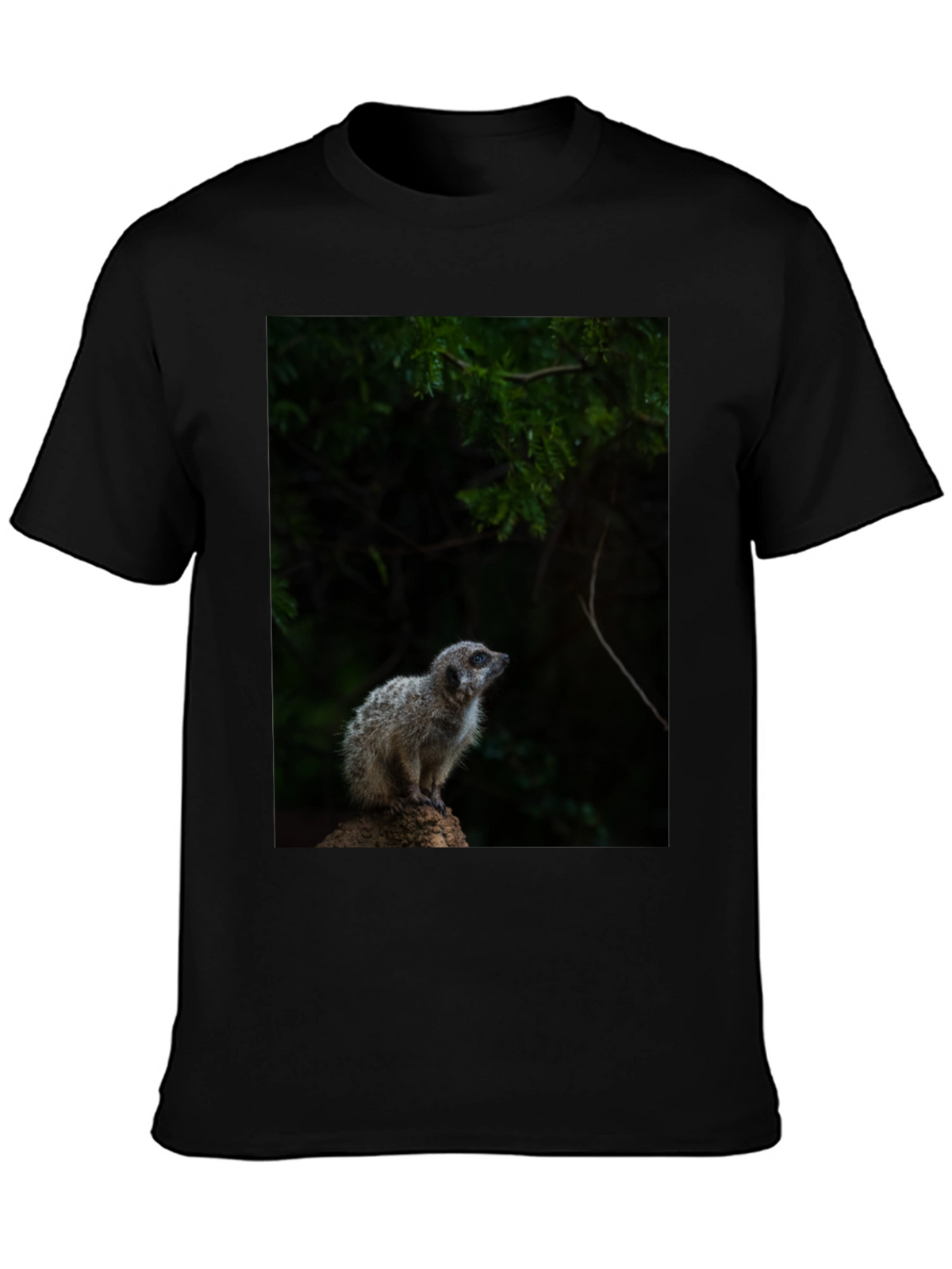 Meerkat Graphic Tee - Wildlife Animal Shirt