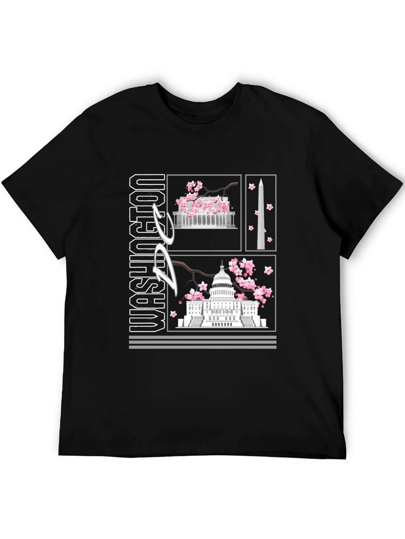 Washington D.C. Graphic T-Shirt