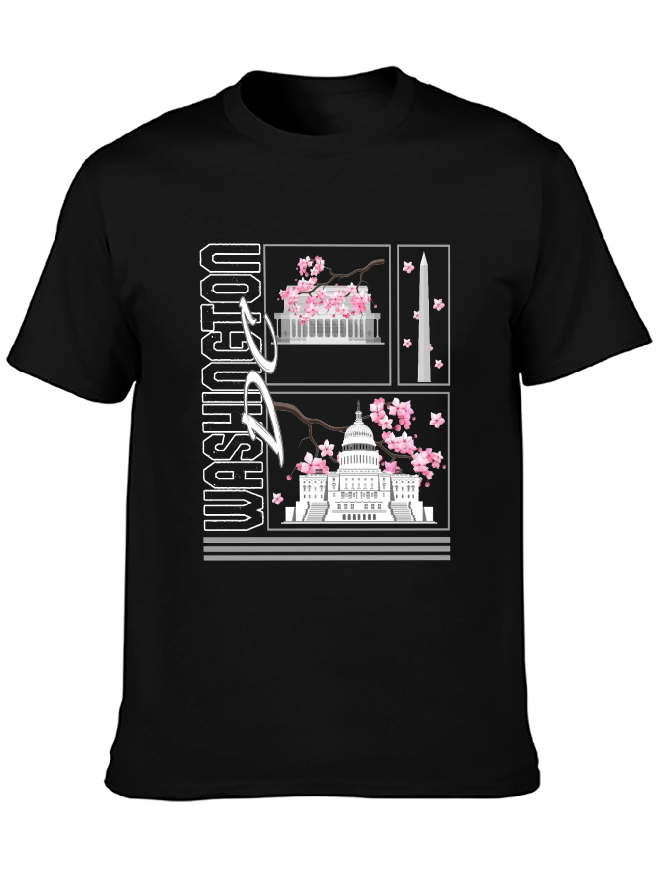 Washington D.C. Graphic T-Shirt