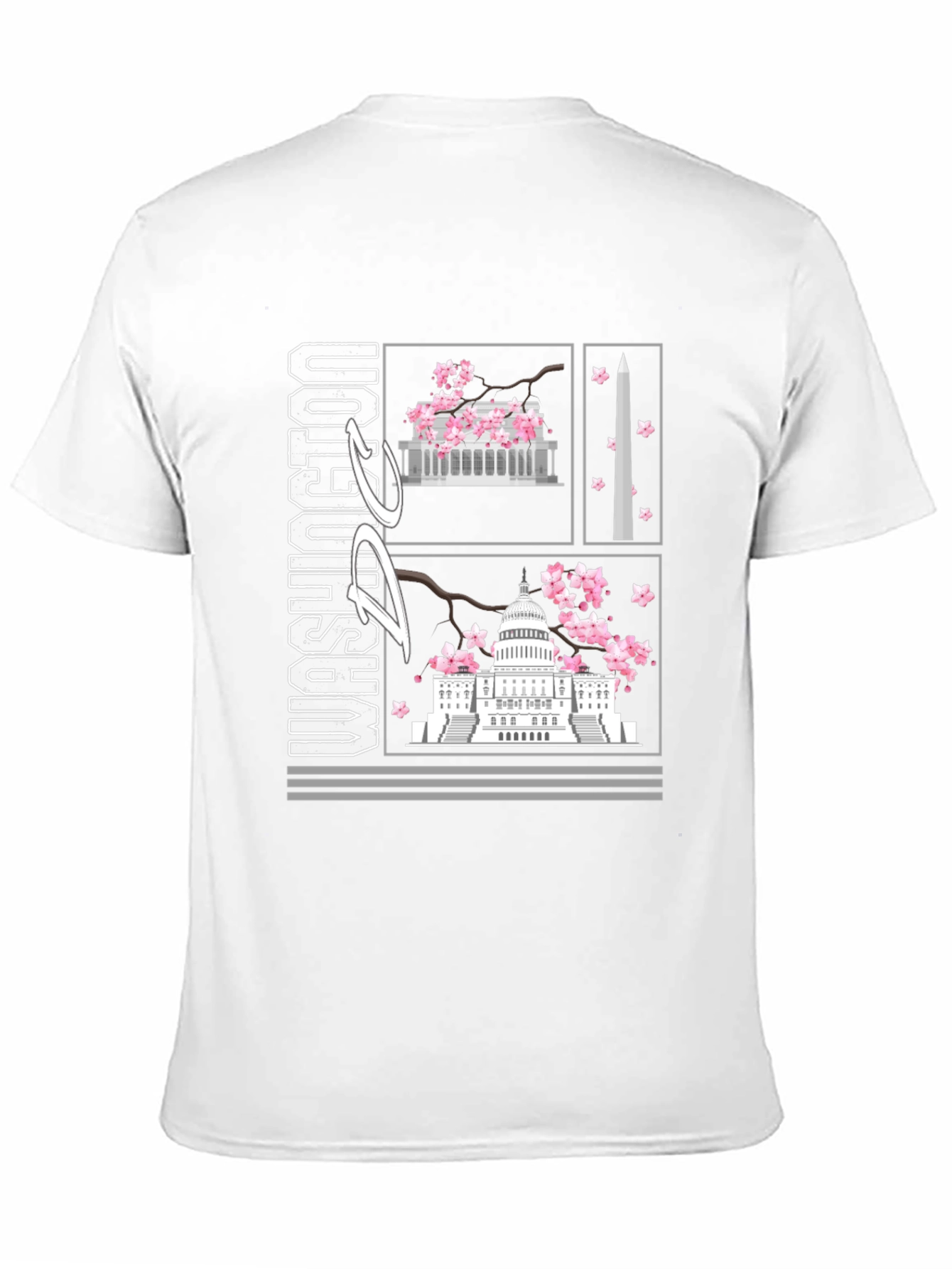 Washington D.C. Graphic T-Shirt