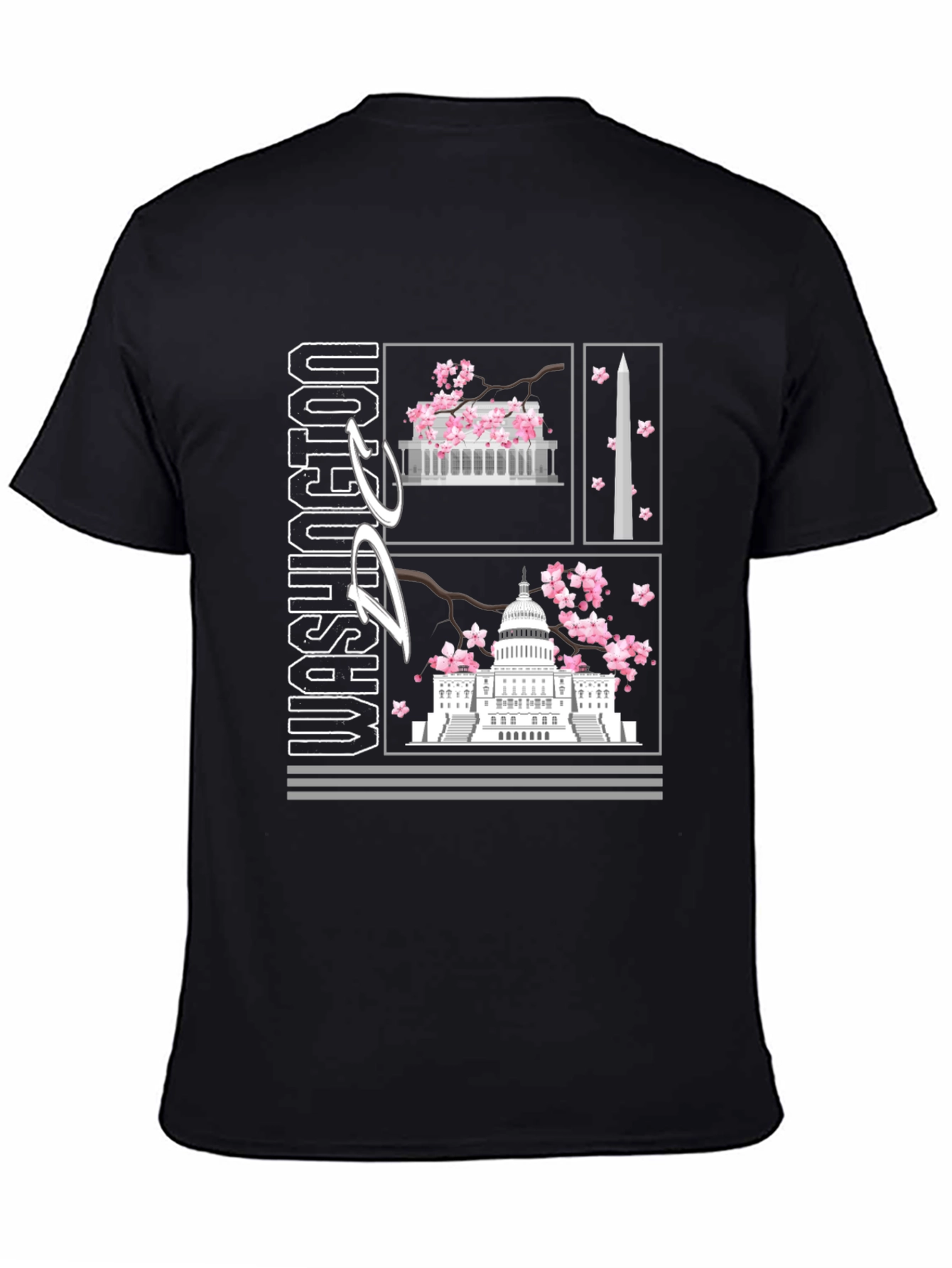 Washington D.C. Graphic T-Shirt