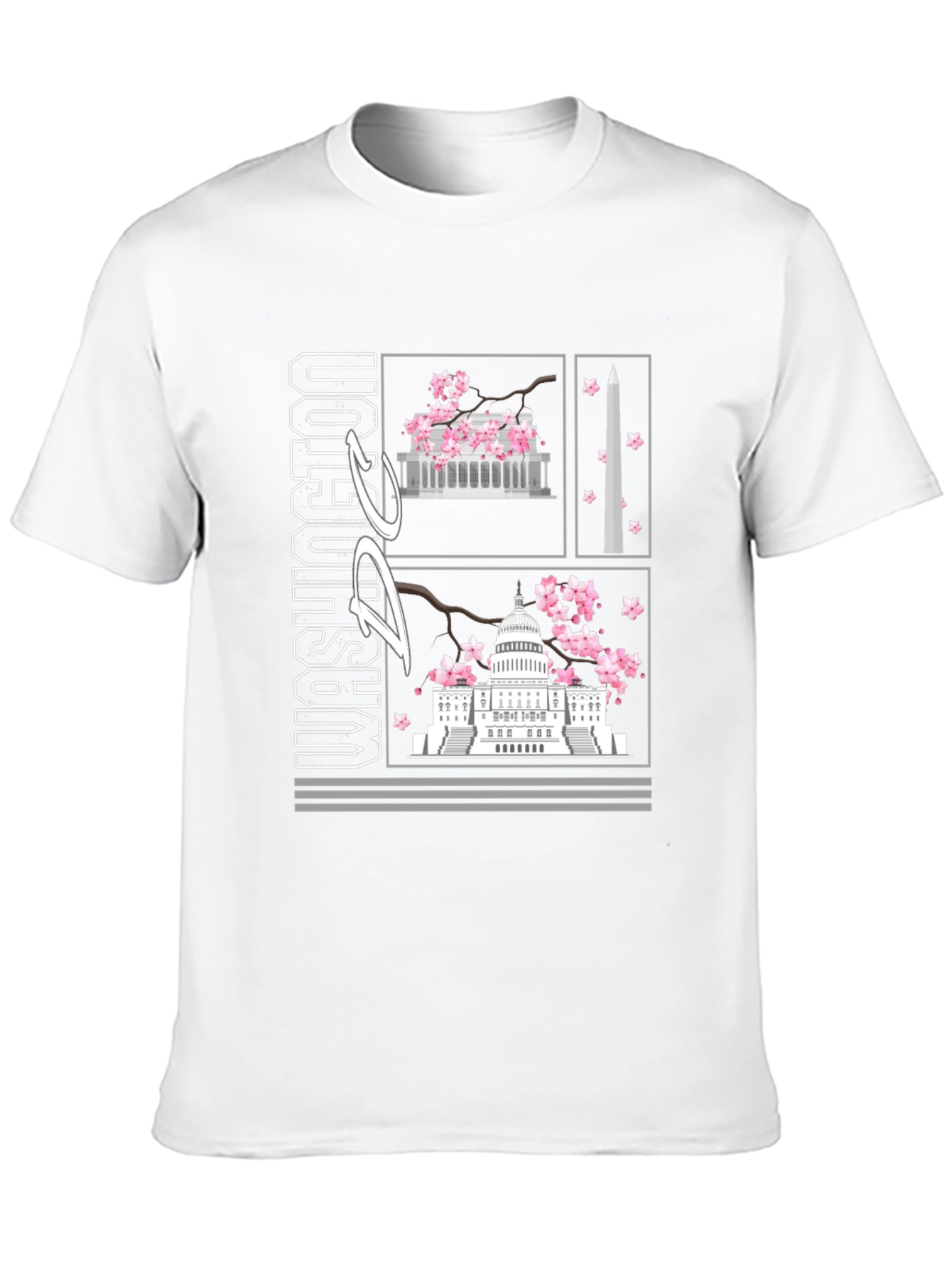 Washington D.C. Graphic T-Shirt
