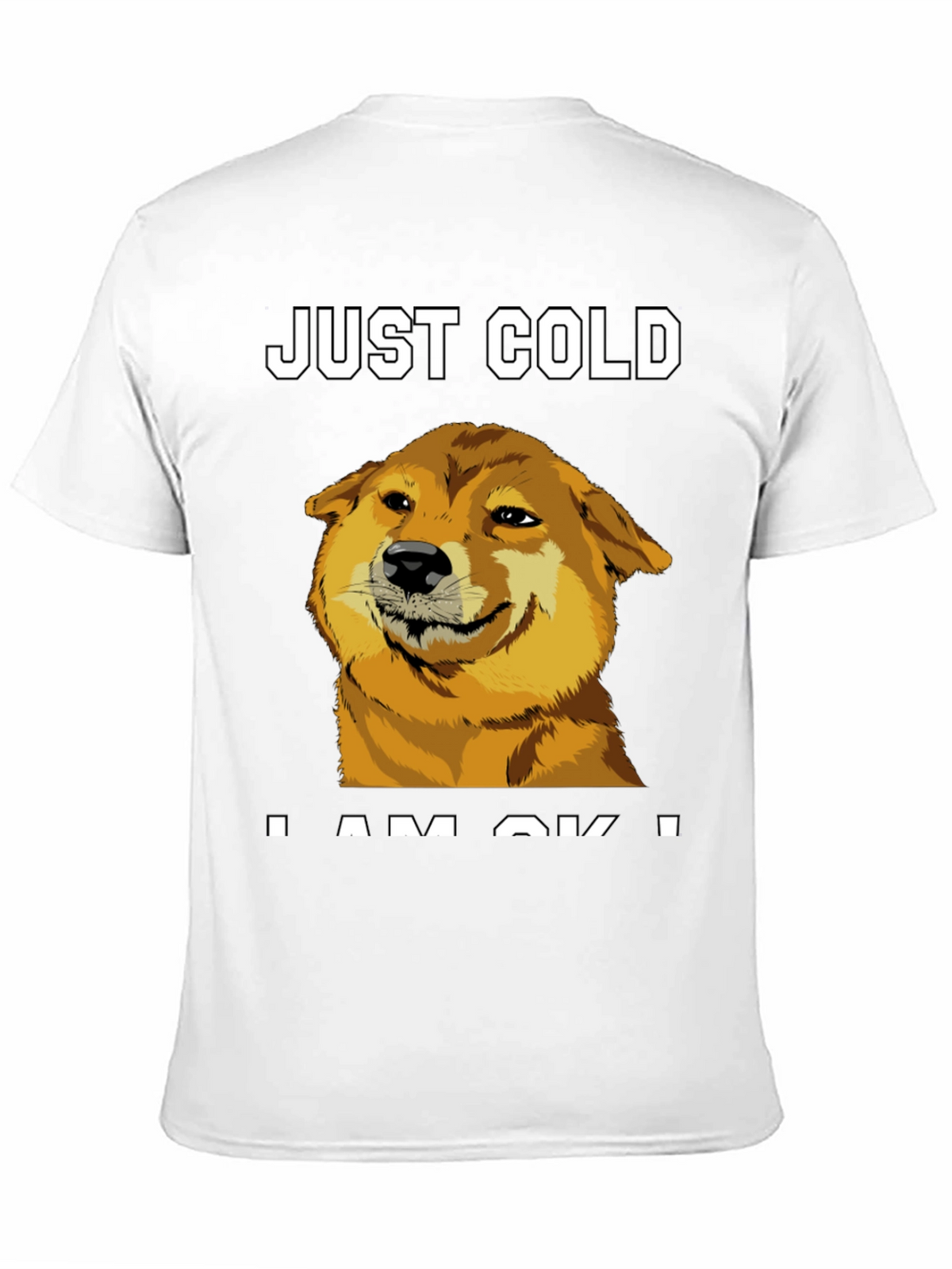 Just Cold? Doge Meme Graphic Tee - Black