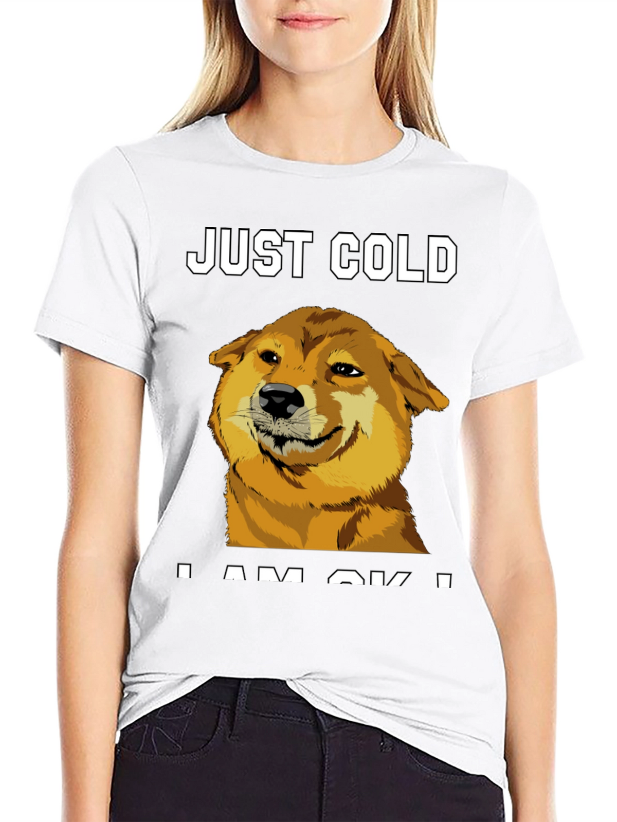 Just Cold? Doge Meme Graphic Tee - Black