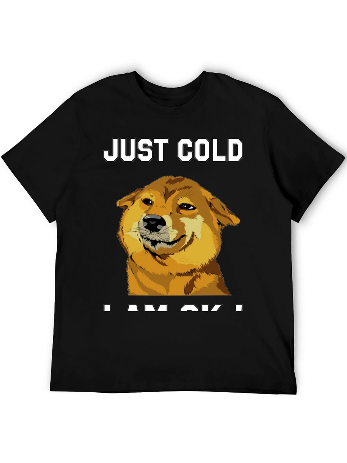 Just Cold? Doge Meme Graphic Tee - Black