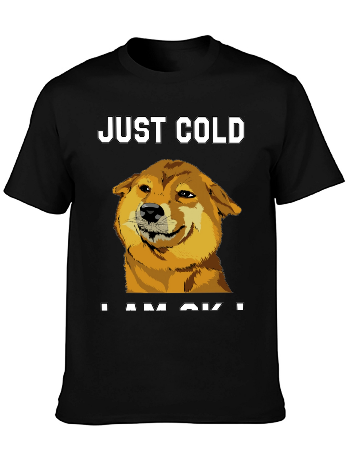 Just Cold? Doge Meme Graphic Tee - Black