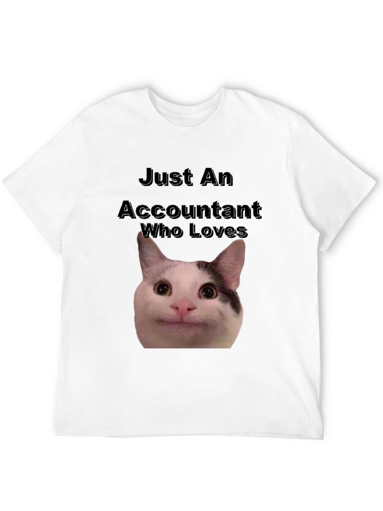 Accountant Cat T-Shirt - Funny Cat Lover Tee