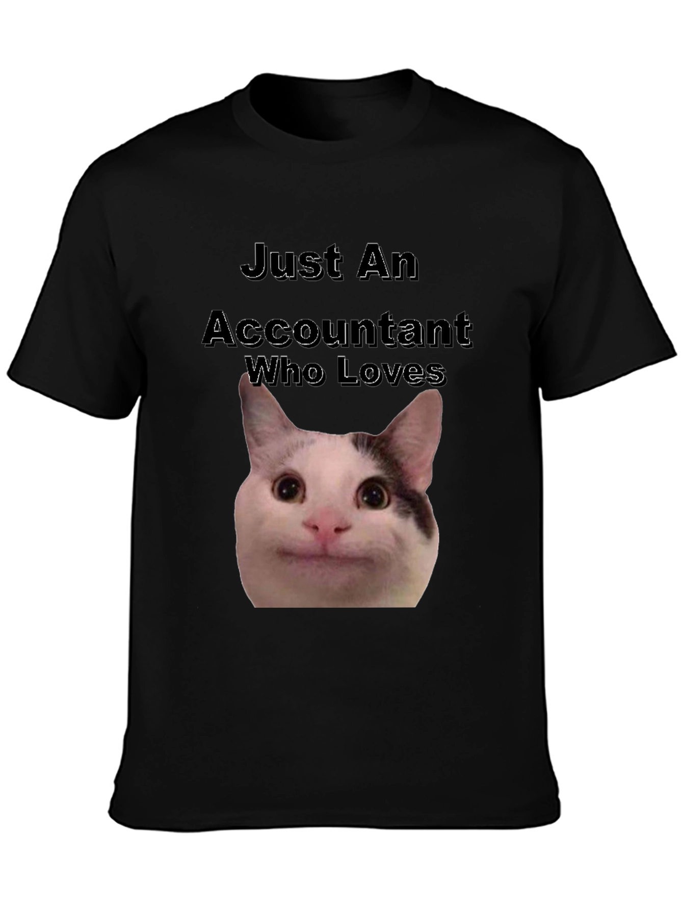 Accountant Cat T-Shirt - Funny Cat Lover Tee